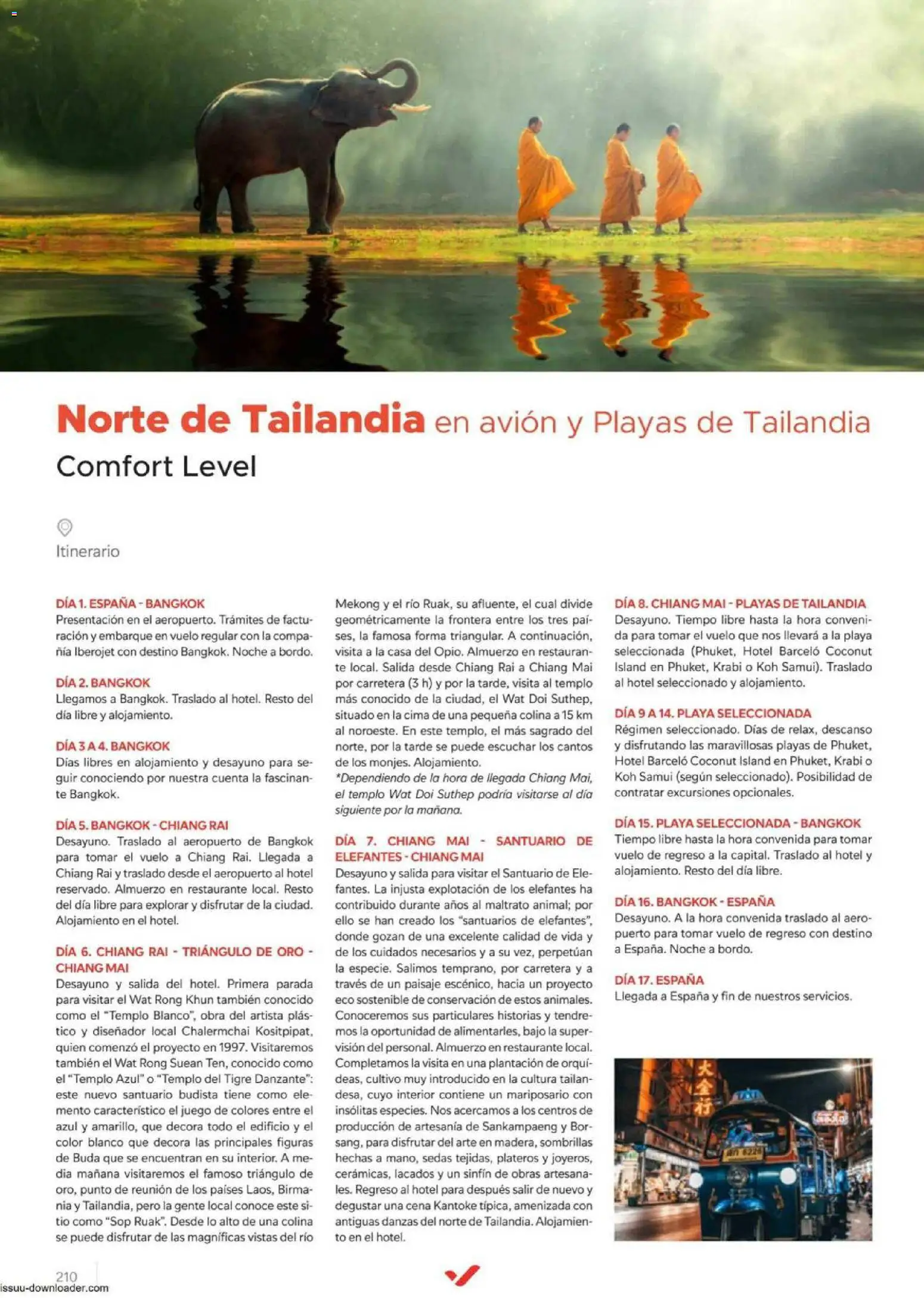 Halcón Viajes Comfort level 2026 │ válido desde el 04.06.2026 | Página: 210 | Productos: Té