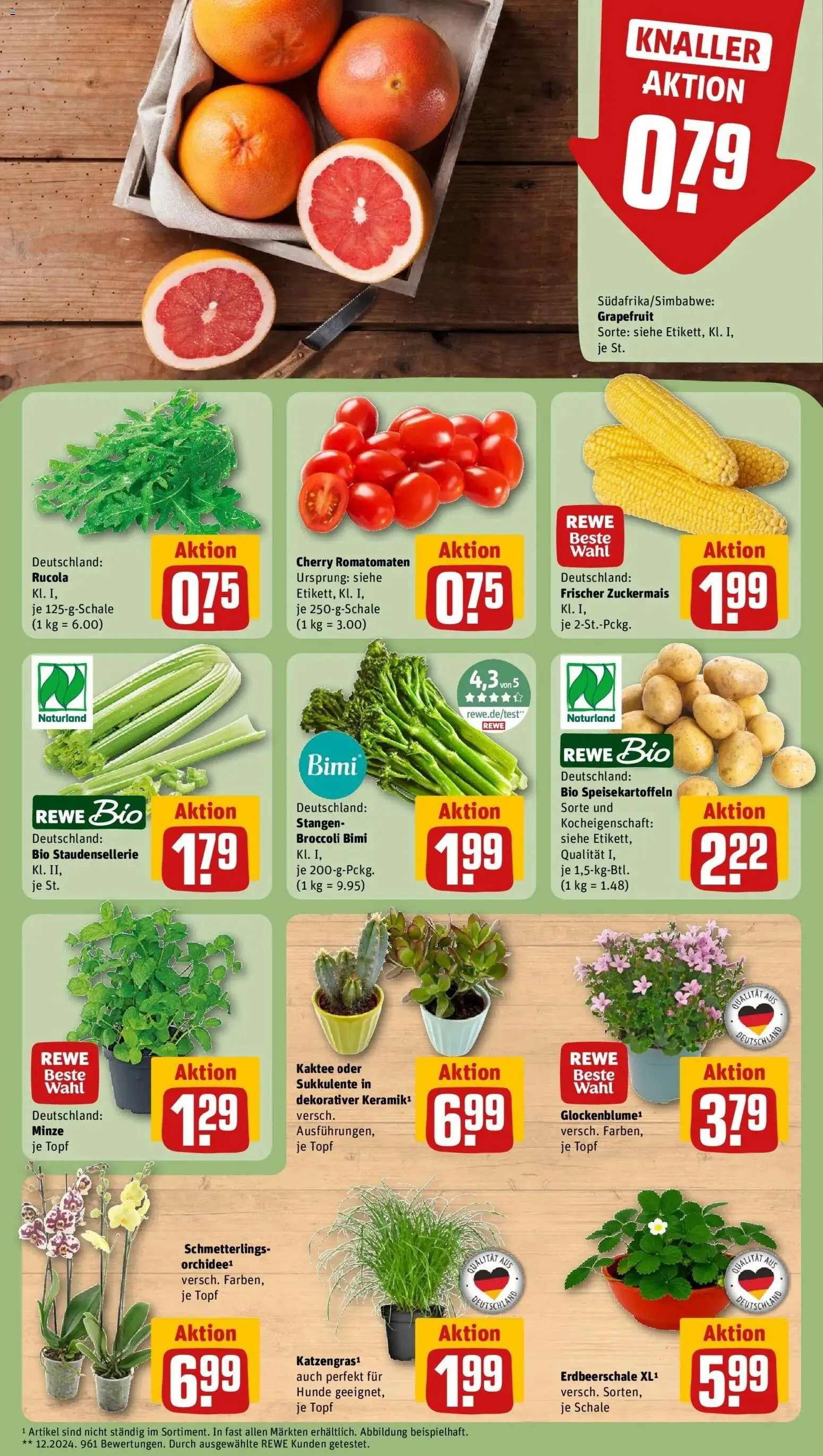 Rewe Prospekt Leuna – gültig ab 27.07.2026 | Seite: 5 | Produkte: Orchidee, Rucola, Grapefruit