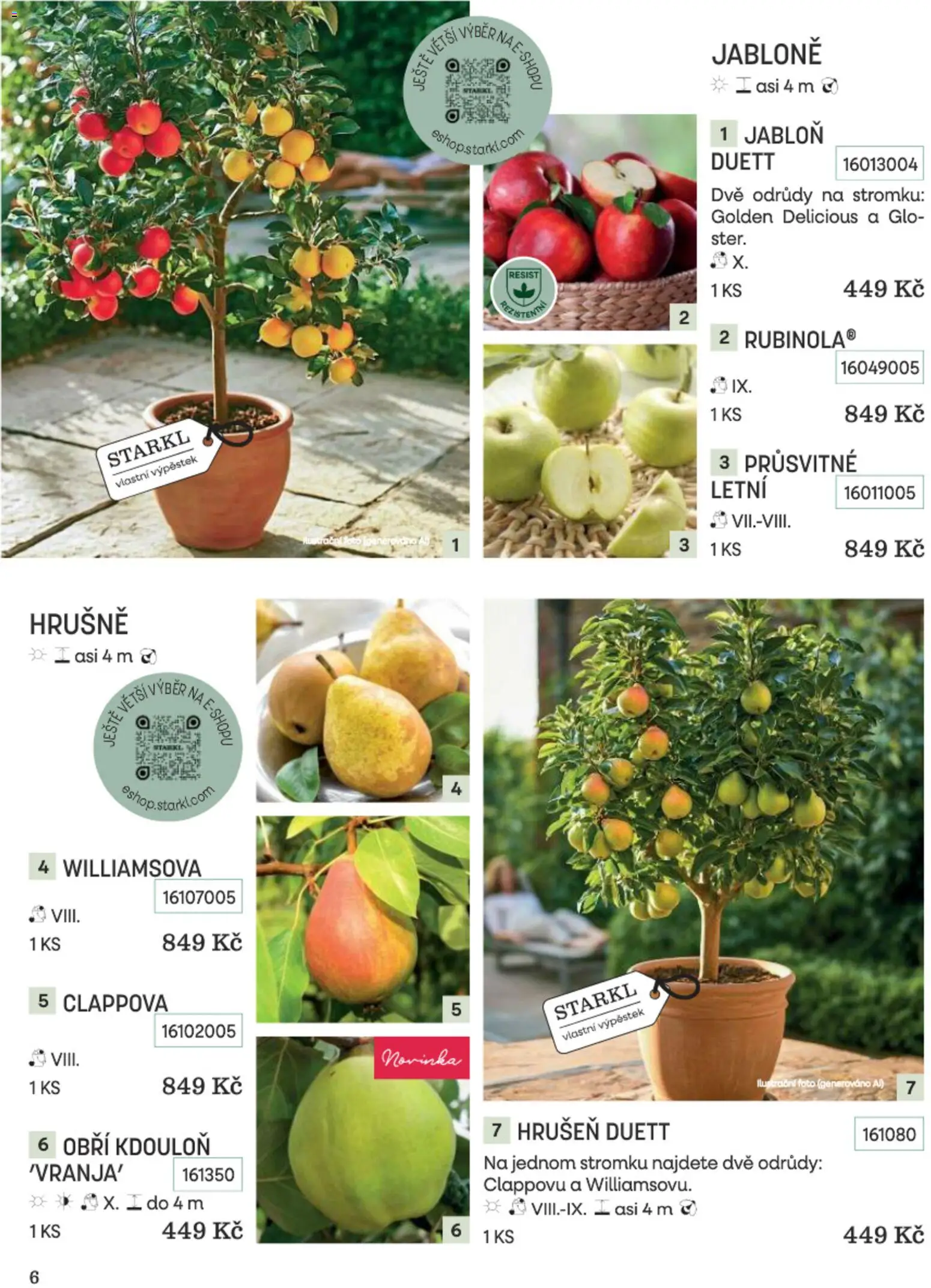 Starkl katalog Podzim 2026 od 01.09.2026 | Strana: 6