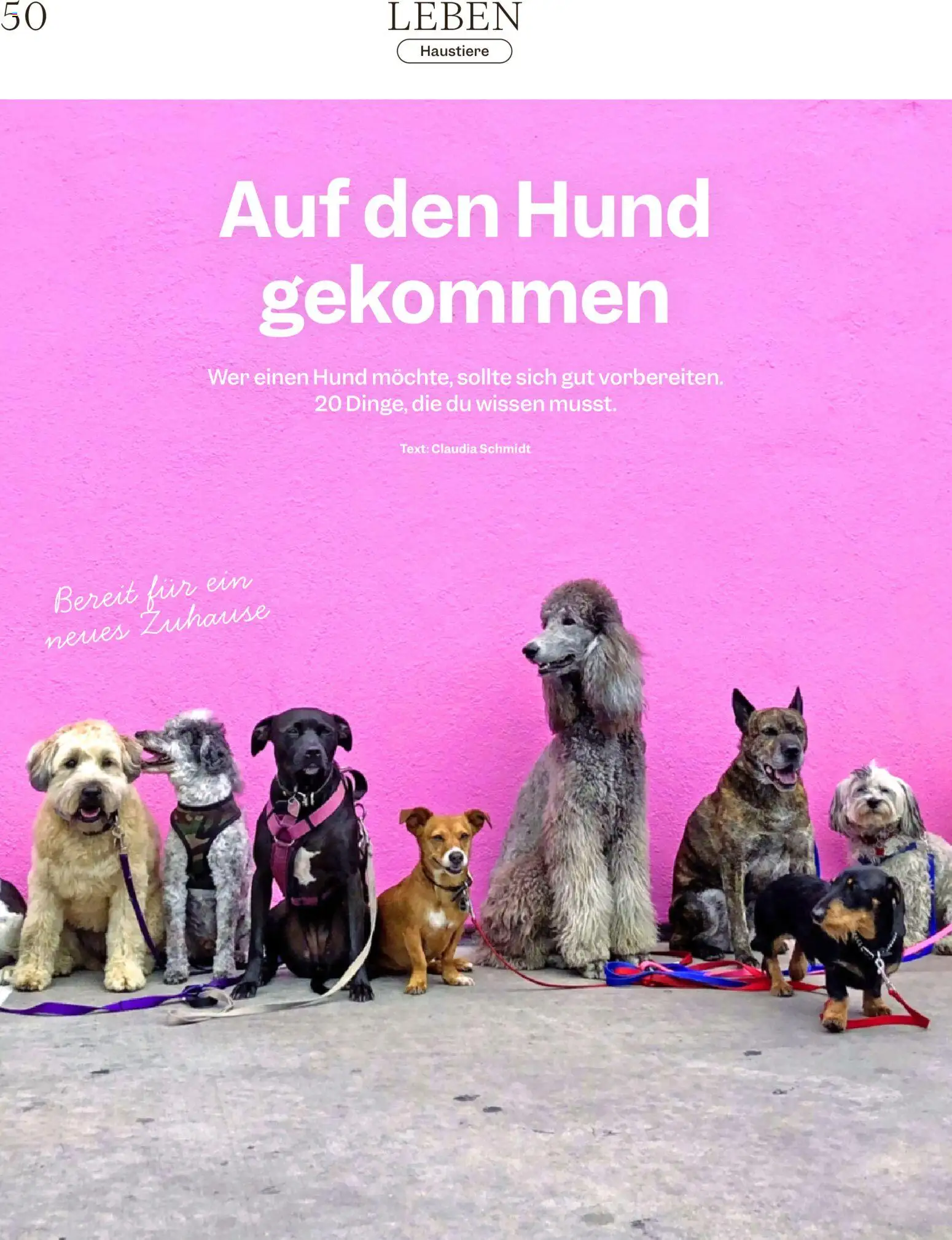Migros aktionen Magazin – gültig ab 08.07.2026 | Seite: 50