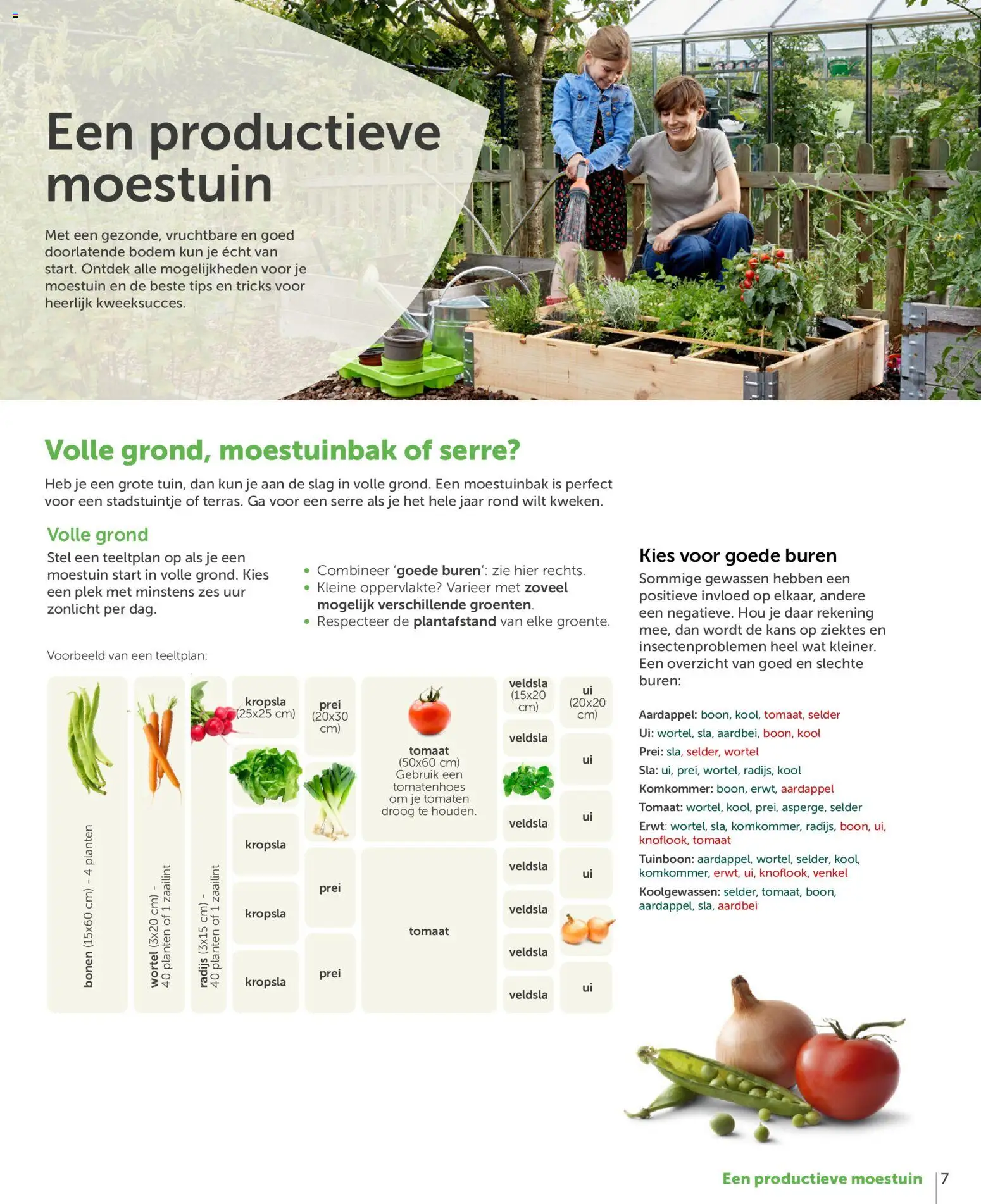 {H1} | Pagina: 7 | Producten: Prei, Aardbei, Ui, Erwt