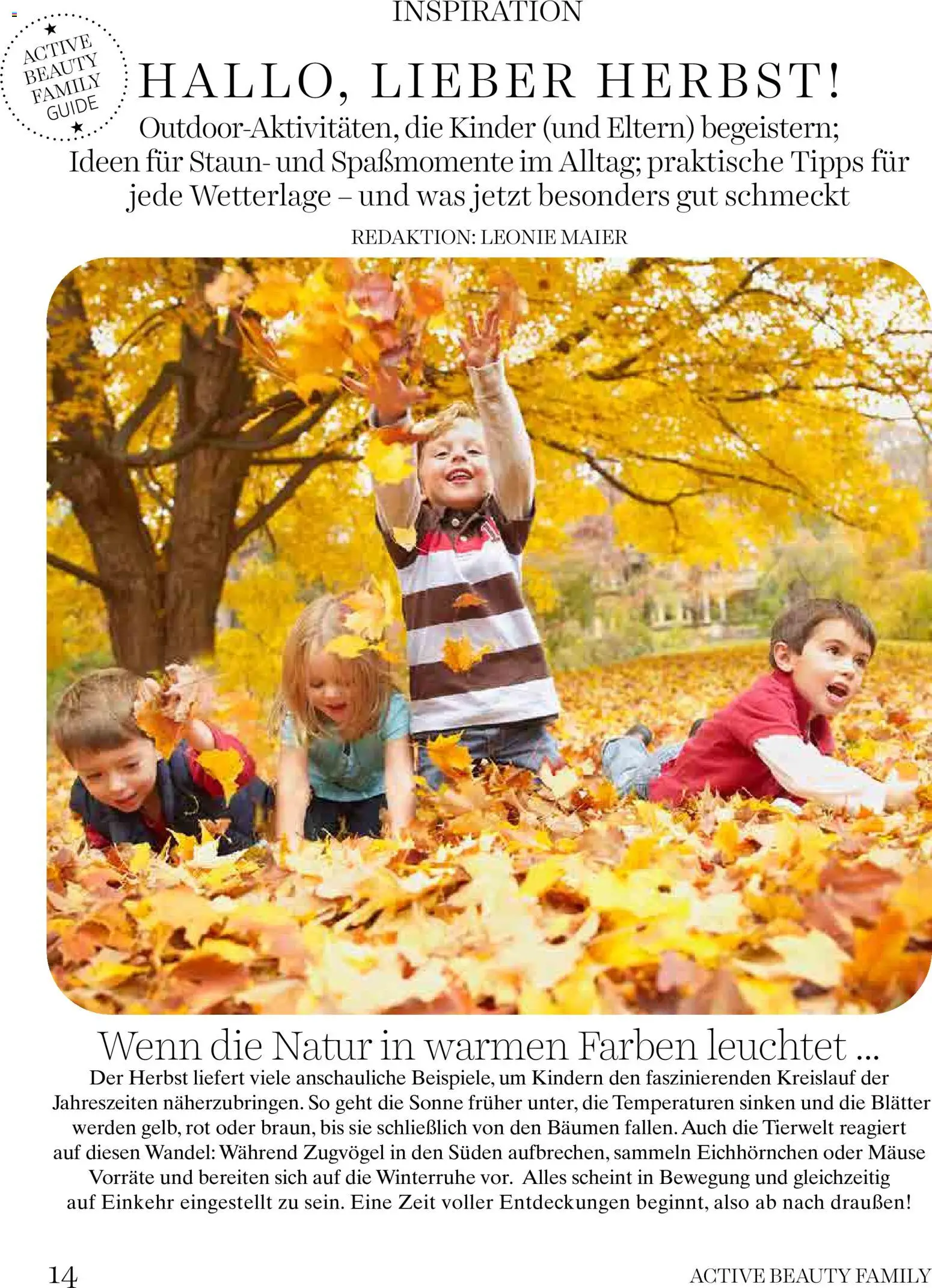 dm drogerie markt Family Magazin October 2026 gültig ab 01.10.2026 | Seite: 14