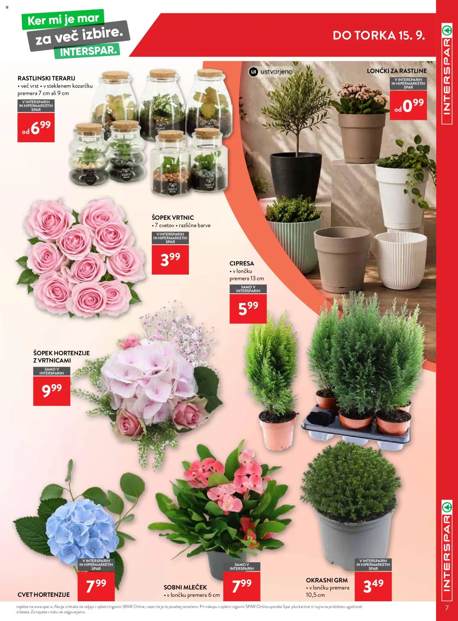 Novi Spar katalog ponudbe – veljaven od 02.09.2026 | Stran: 7 | Izdelki: Šopek
