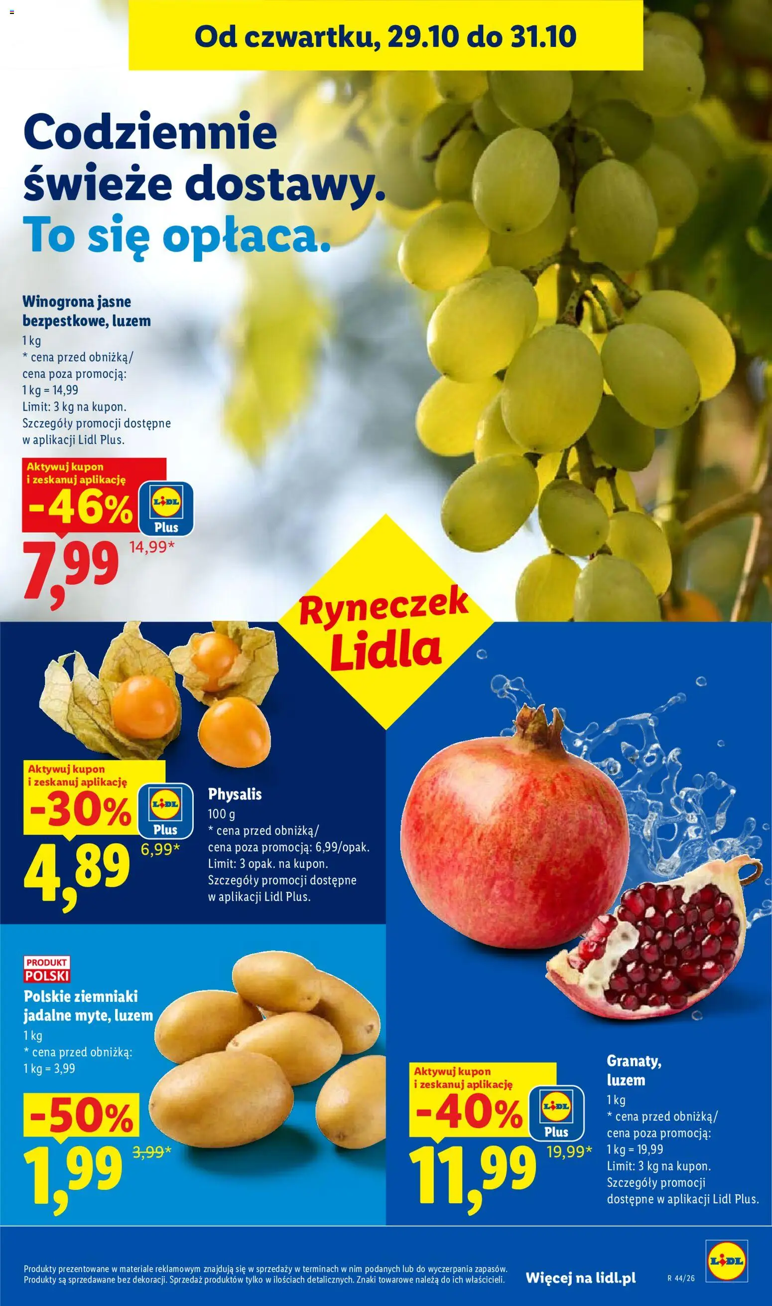 Lidl Polsko leták od 29.10.2026 | Strana: 49 | Produkty: Physalis