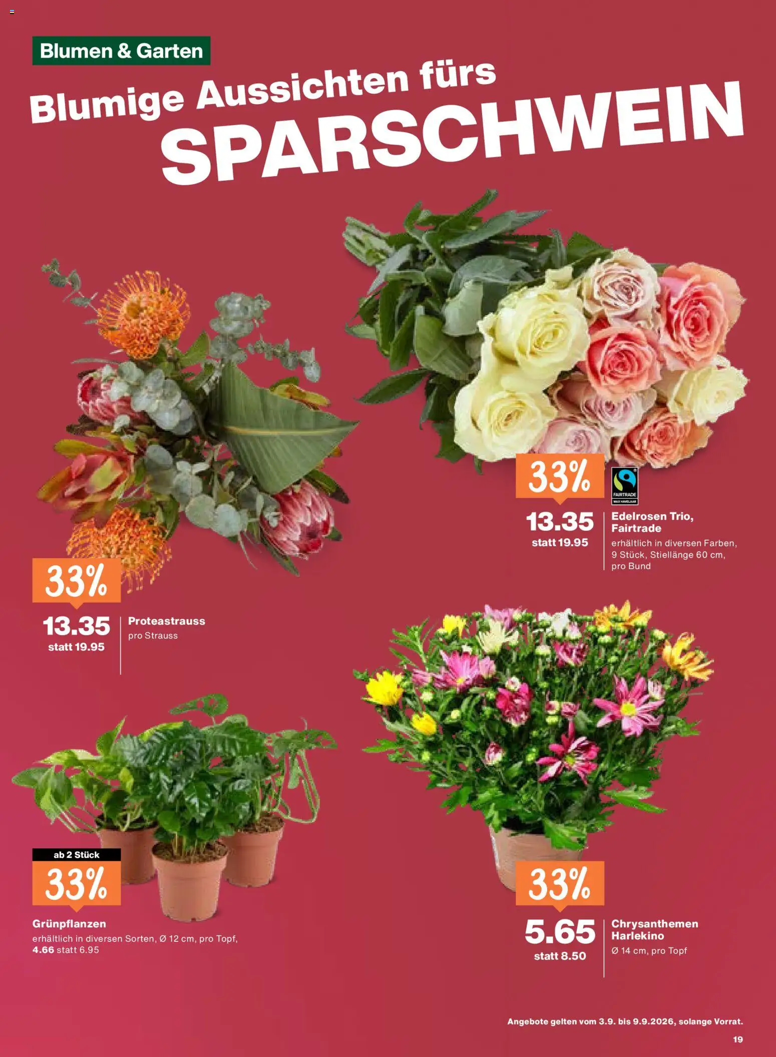 Migros aktionen – gültig ab 03.09.2026 | Seite: 19