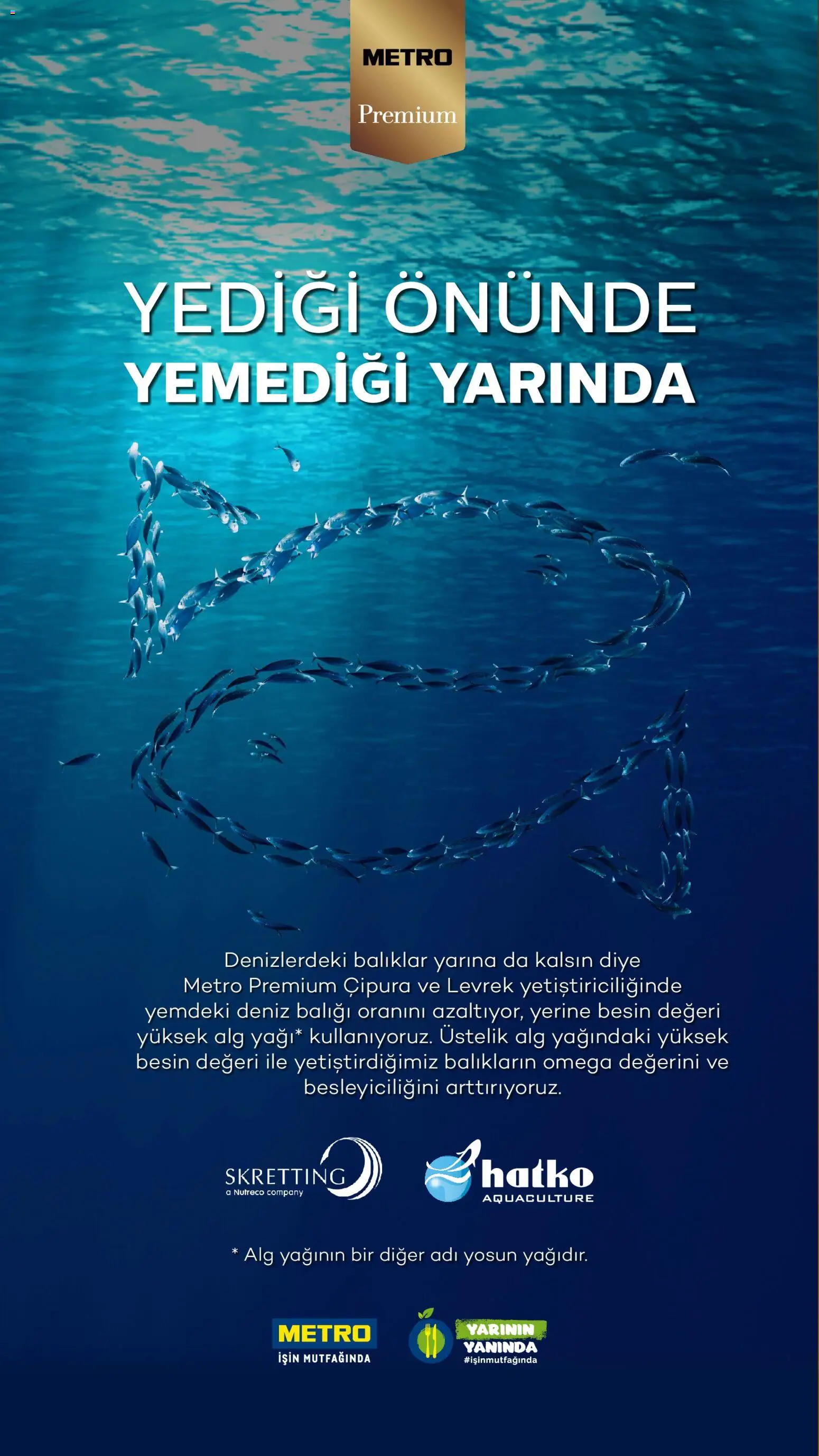 Metro Sürdürülebilir Ürünler Kataloğu - 14 Ekim 2026 tarihinden itibaren geçerlidir | Sayfa: 28 | Ürünler: Levrek, Çipura