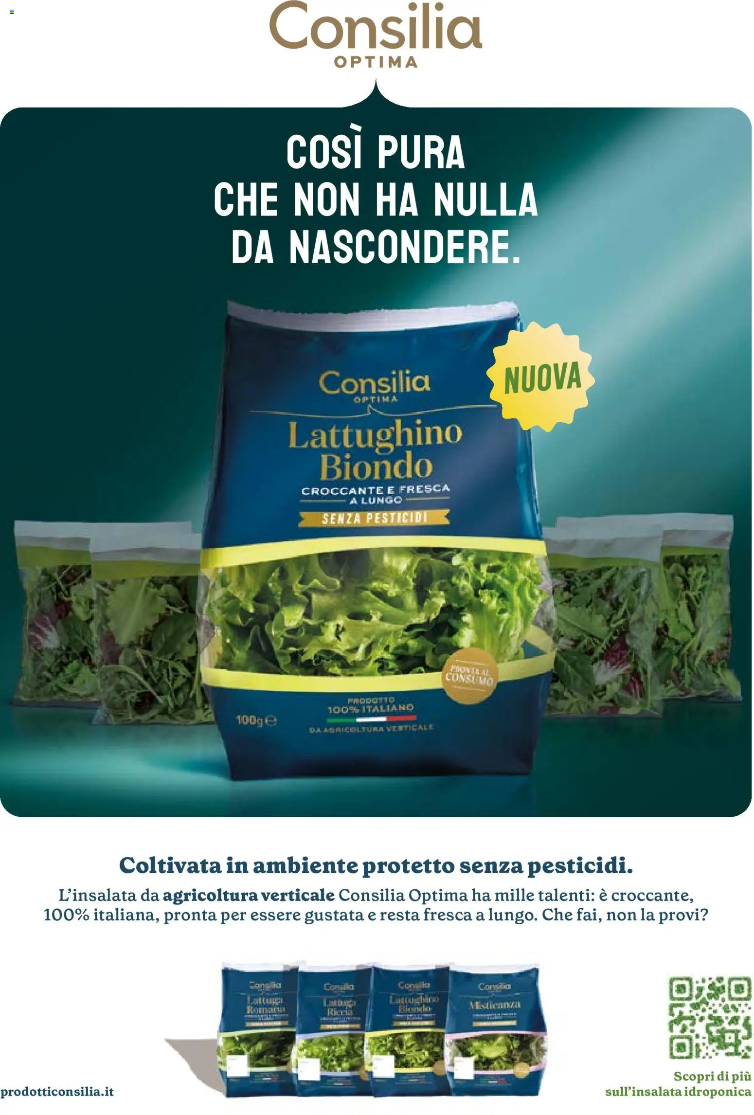 Volantino Gulliver del 01/08/2026 | Pagina: 65