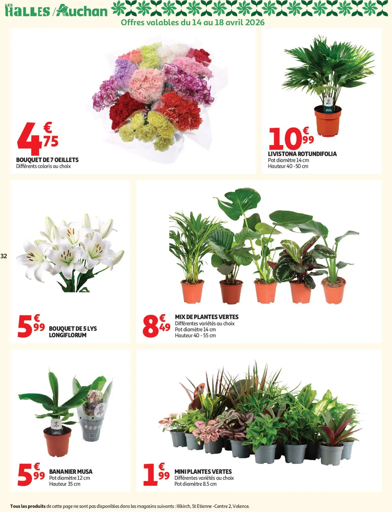 {H1} | Page: 32 | Produits: Bananier, Plantes