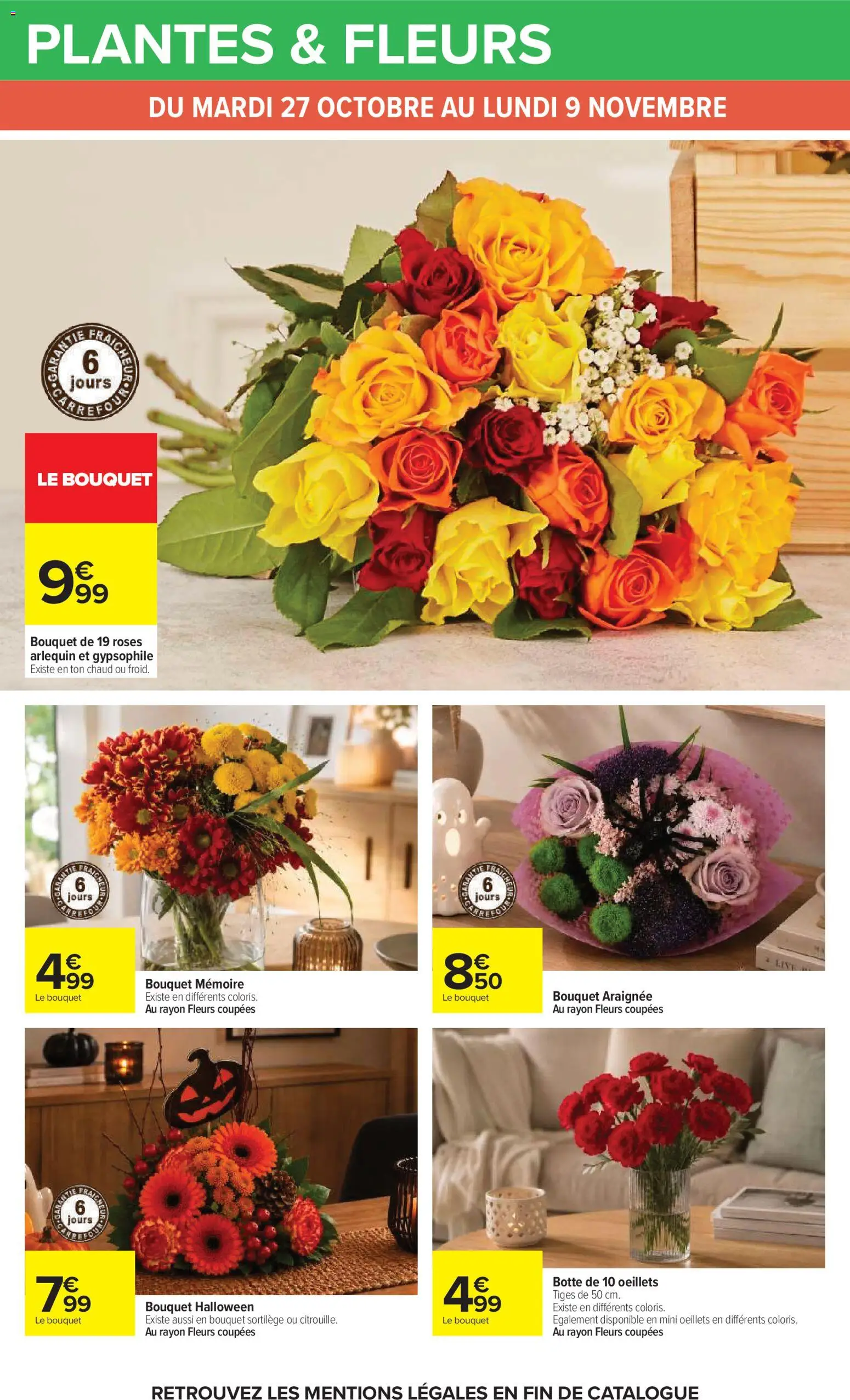 {H1} | Page: 27 | Produits: Plantes, Fleurs