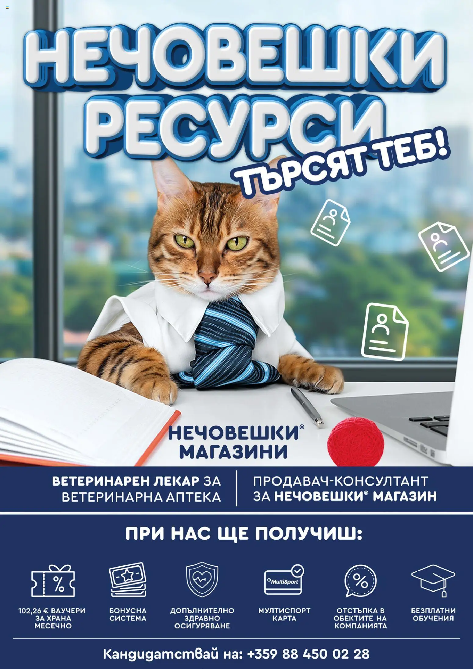 {H1} | Страница: 12
