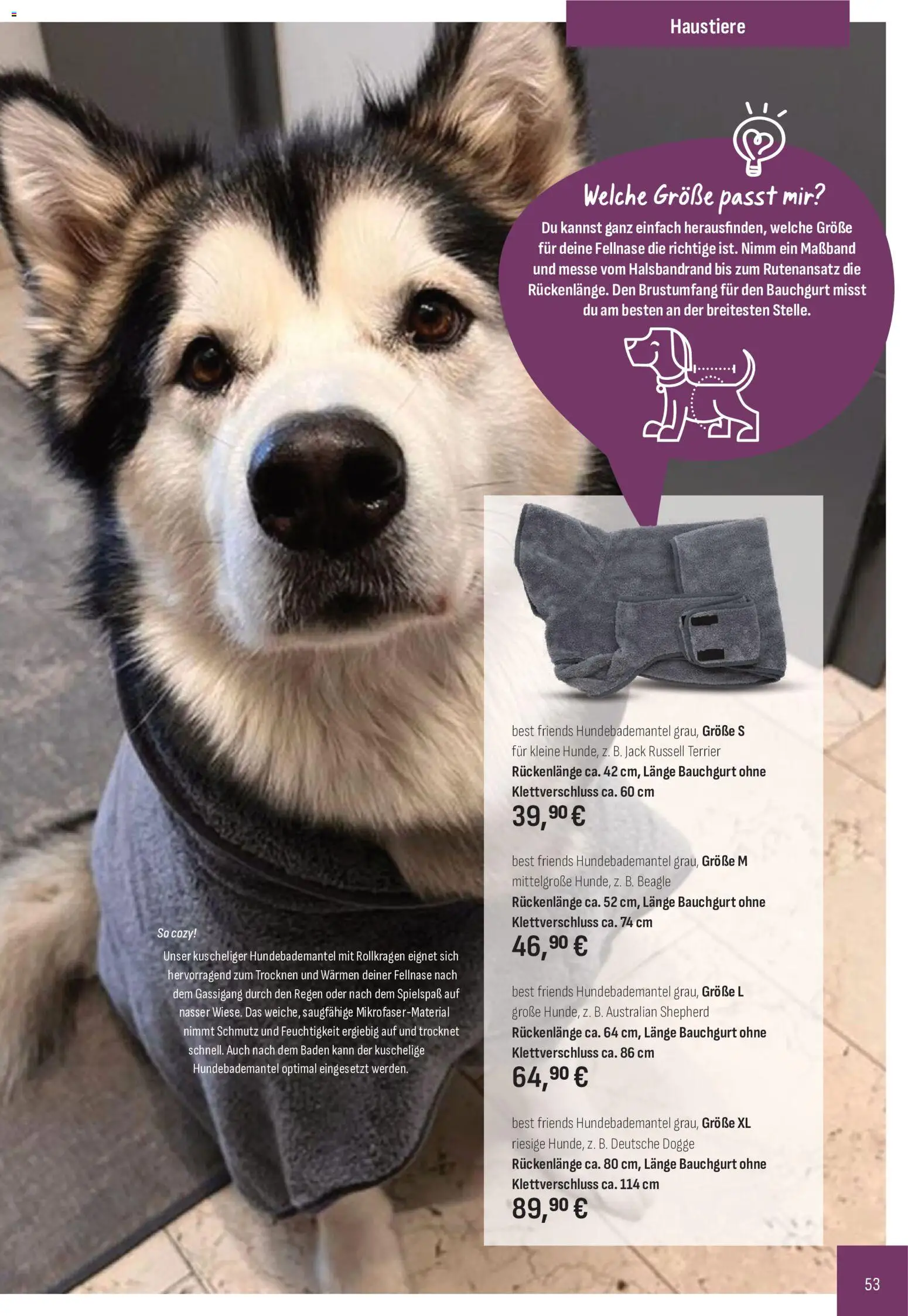 Katalog ProWin Juli / Dezember 2026 – gültig ab 01.07.2026 | Seite: 53
