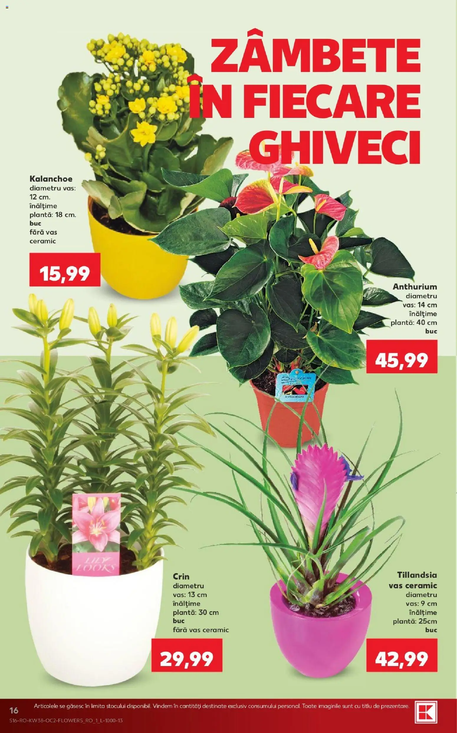 Kaufland RO akciós ujság - amely érvényes a következő dátumtól: 2026.09.16. | Oldal: 16 | Termékek: Vas