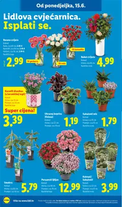 Lidl Katalog - Pregled kataloga iz trgovine Lidl, vrijedi od 15.06.2026 | Stranica: 46