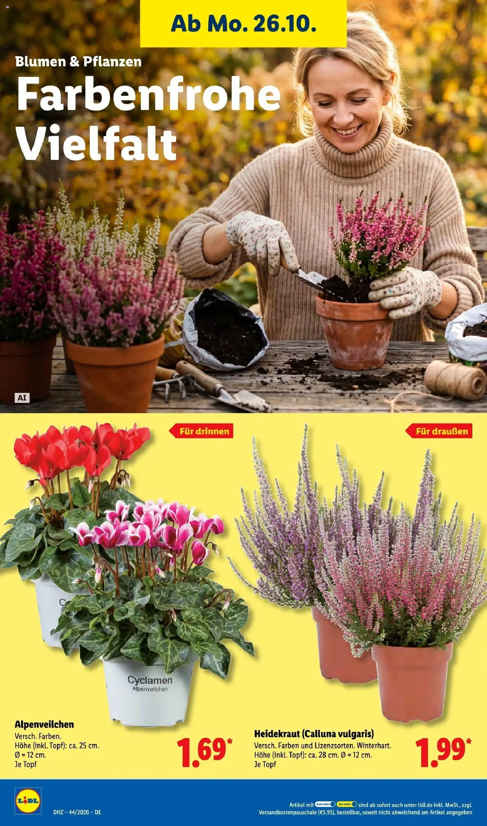 Lidl Prospekt Weikersheim (ab 26.10.2026) zum Blättern » Angebote | Seite: 32 | Produkte: Blumen