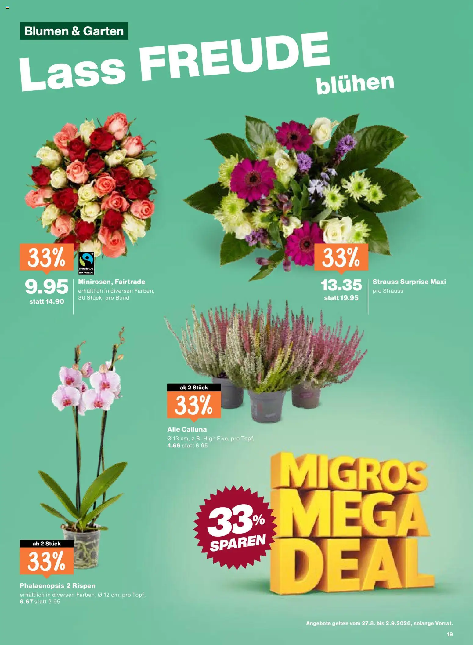 Migros aktionen – gültig ab 27.08.2026 | Seite: 19