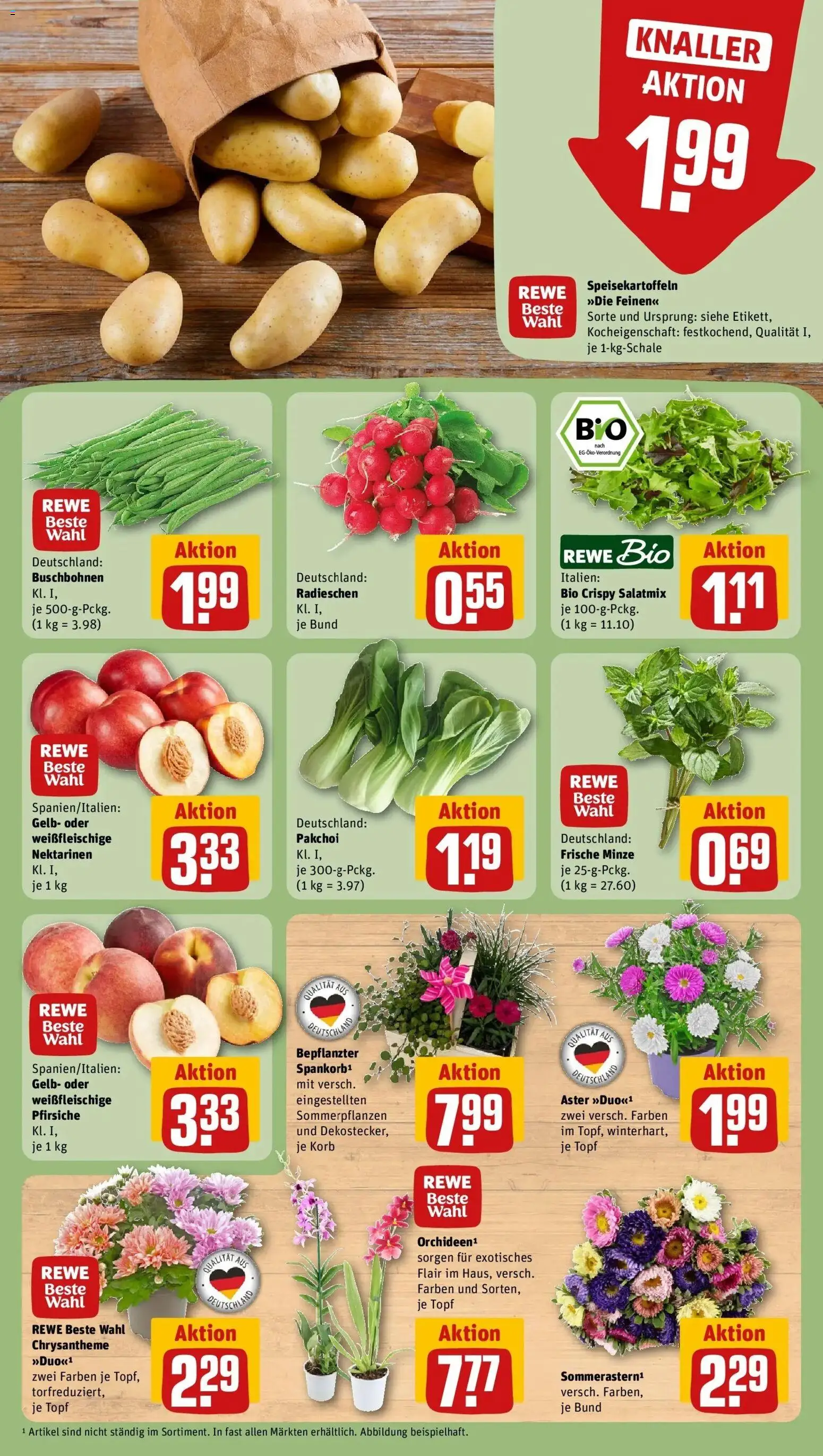 Rewe Prospekt Berlin / Prenzlauer Berg – gültig ab 03.08.2026 | Seite: 7 | Produkte: Nektarinen, Korb
