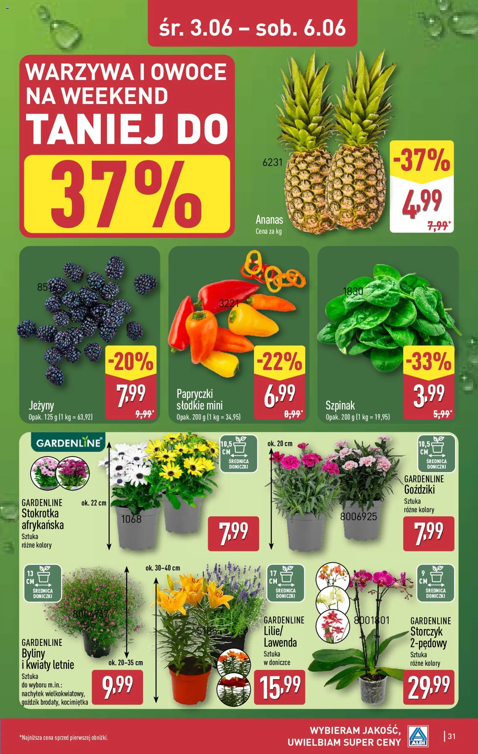 Aldi gazetka od 01.06.2026 | Strona: 31 | Produkty: Goździki, Jeżyny, Warzywa, Owoce