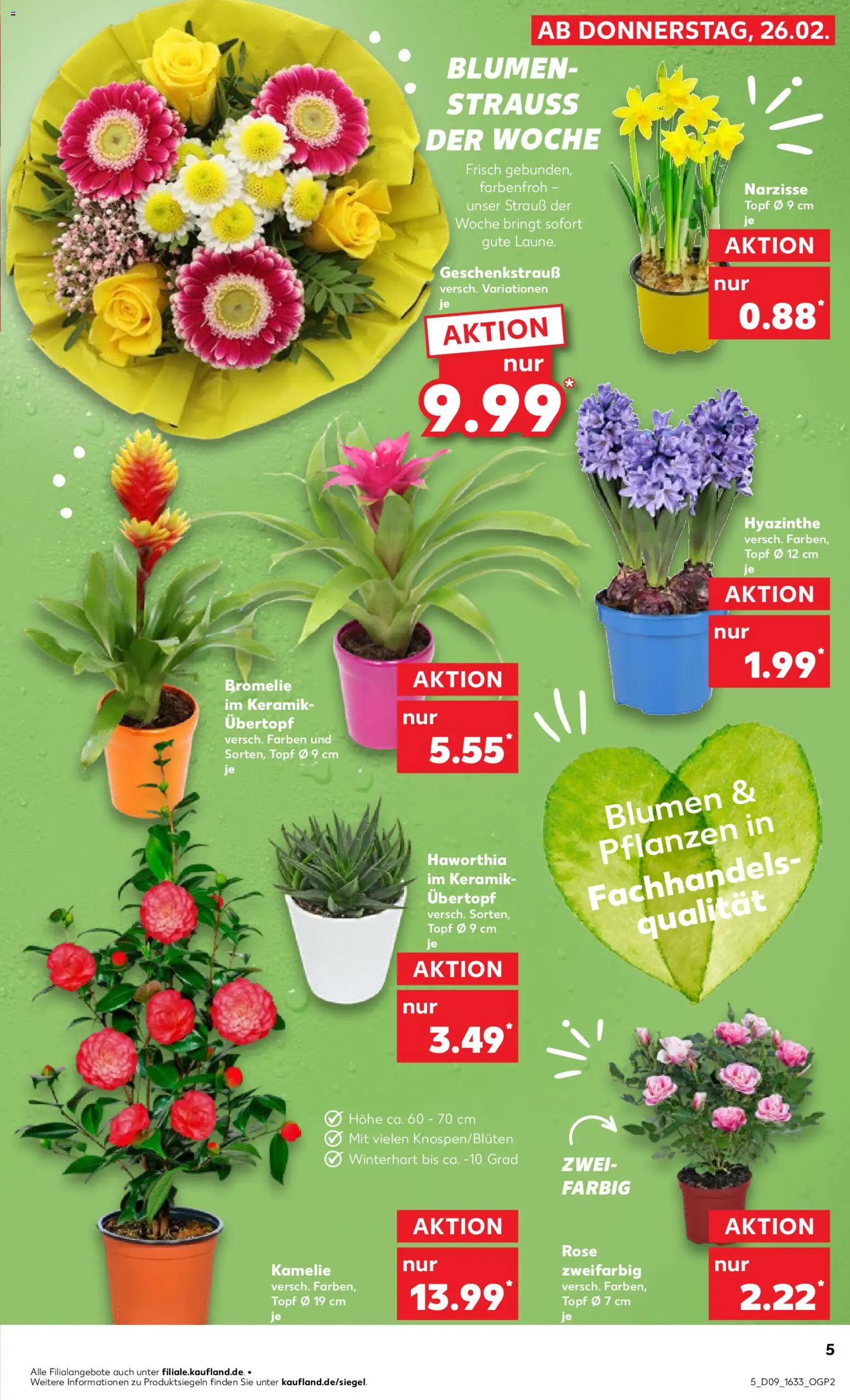 Kaufland Německo leták od 26.02.2026 | Strana: 5