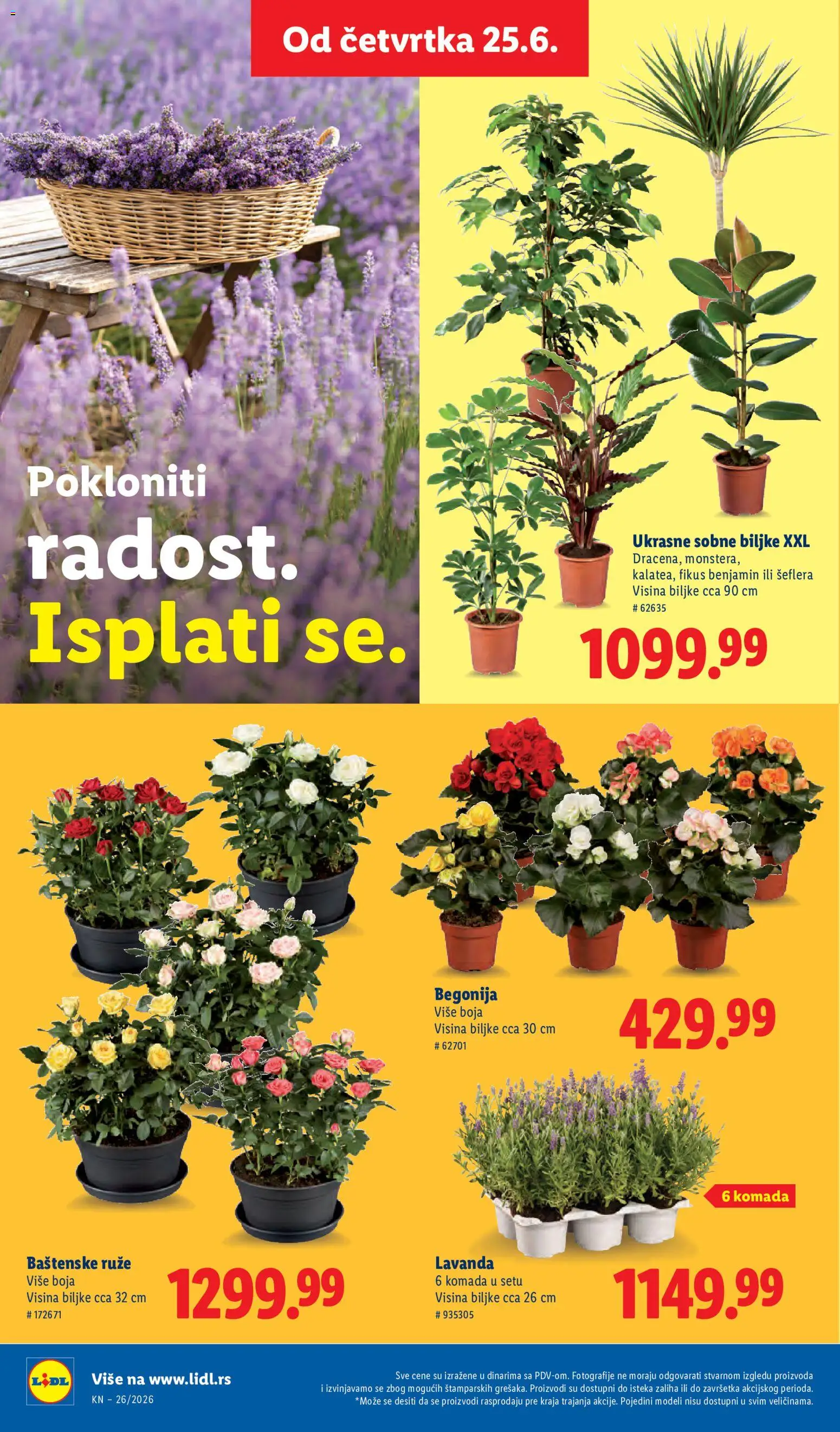 Lidl katalog - važi od 25.06.2026 | Strana: 74