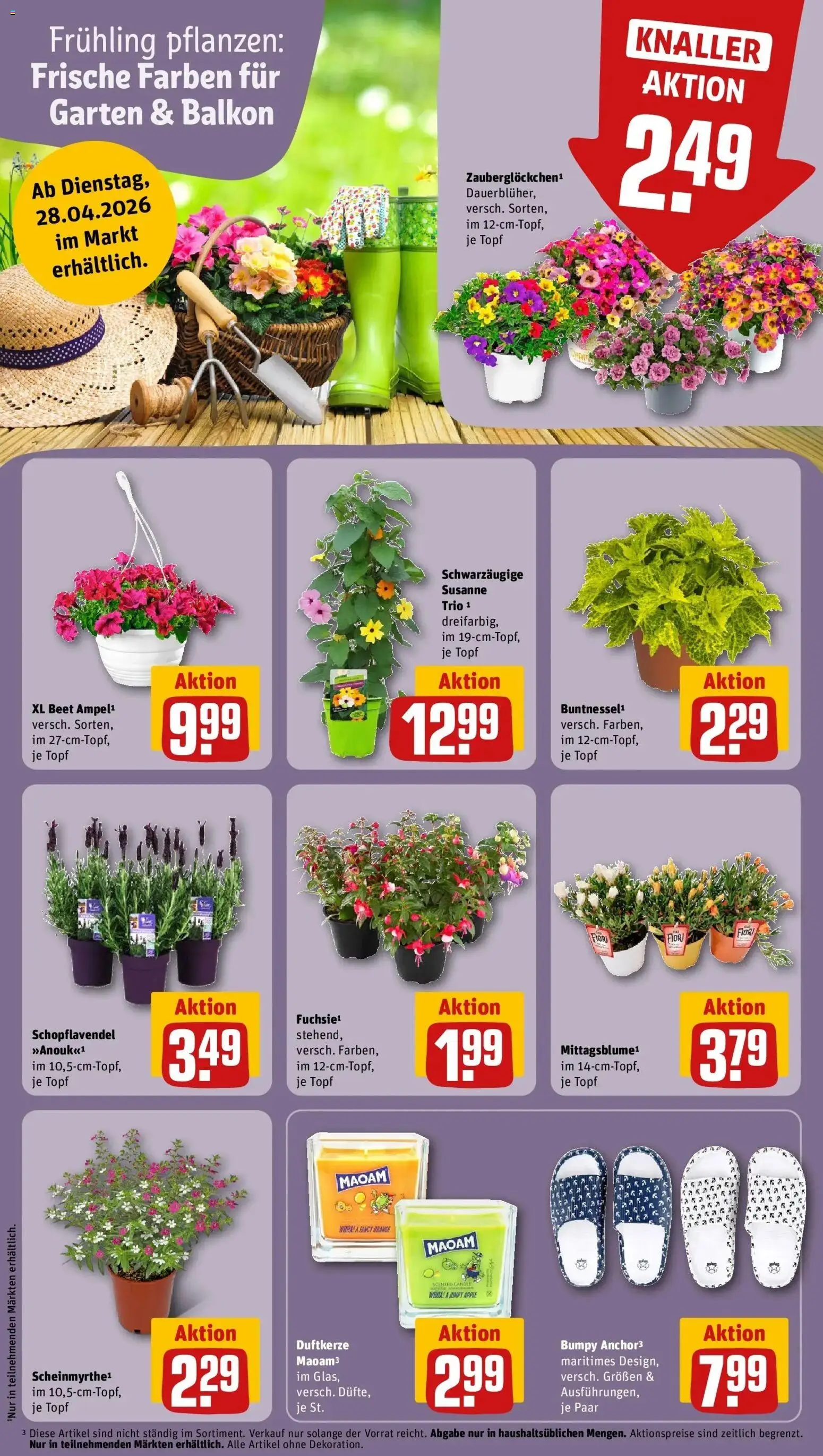 Rewe Prospekt Rostock	 – gültig ab 27.04.2026 | Seite: 9 | Produkte: Apple