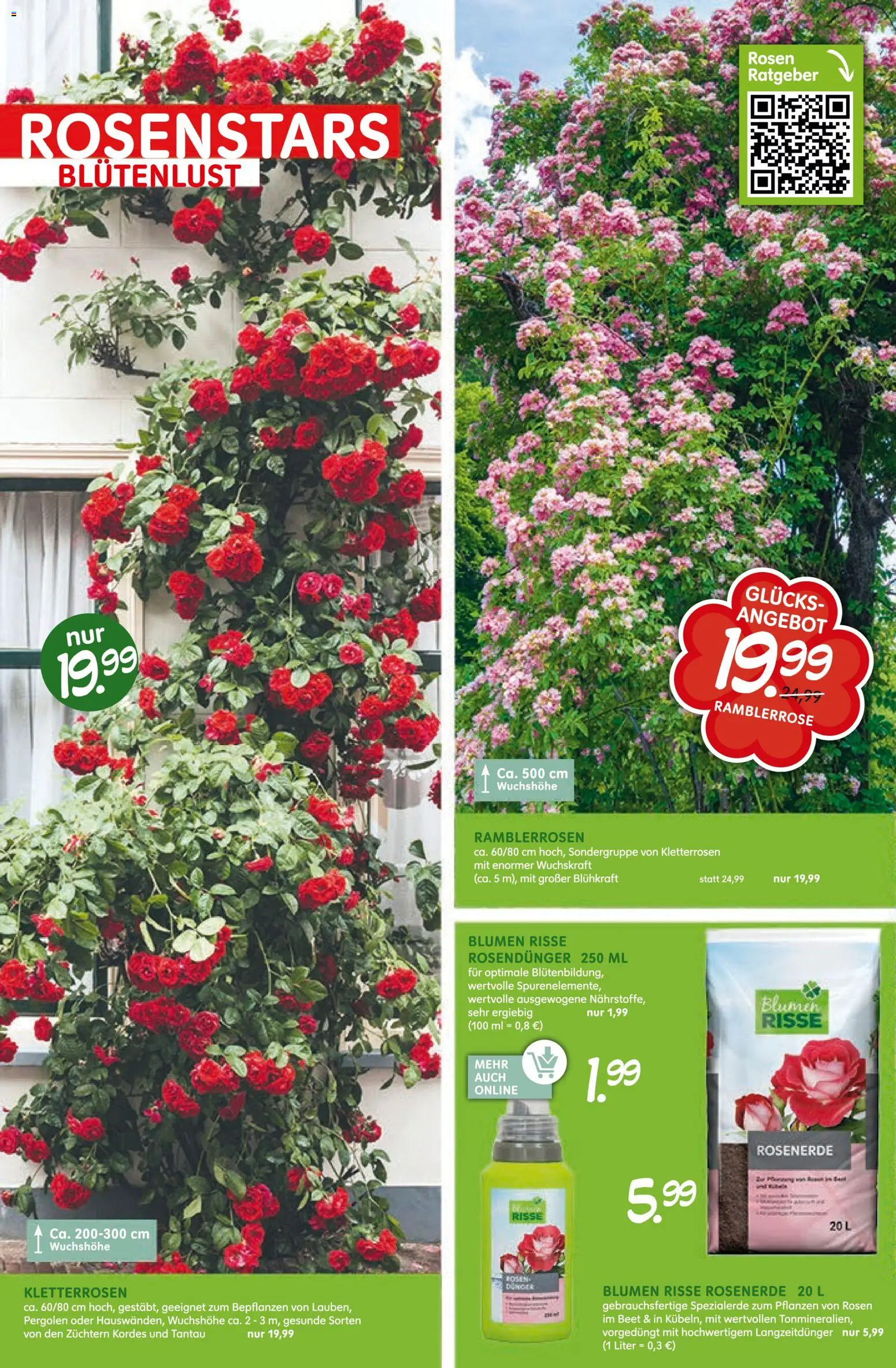 Blumen Risse Blütenglück – gültig ab 28.05.2026 | Seite: 2 | Produkte: Blumen