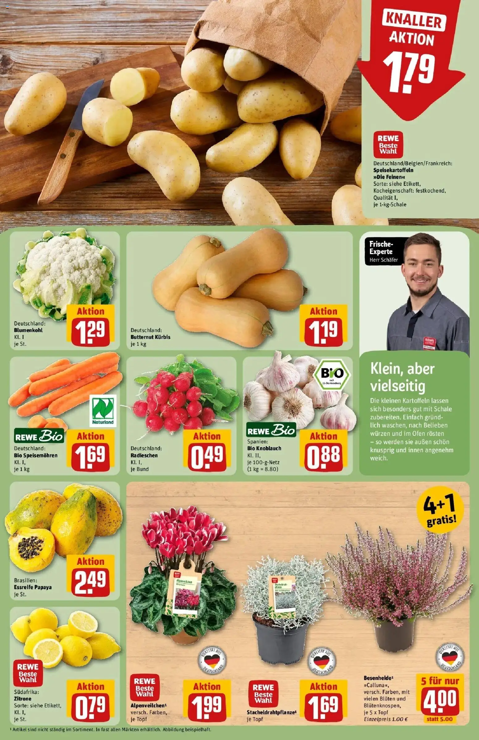 REWE Prospekt ab 05.10.2026 zum Blättern » Angebote | Seite: 9 | Produkte: Ofen, Knoblauch, Kürbis, Blumenkohl