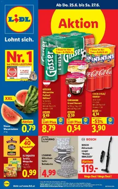 Lidl Flugblatt - Fohnsdorf, Neunkirchen, Graz ab 25.06.2026 gültig