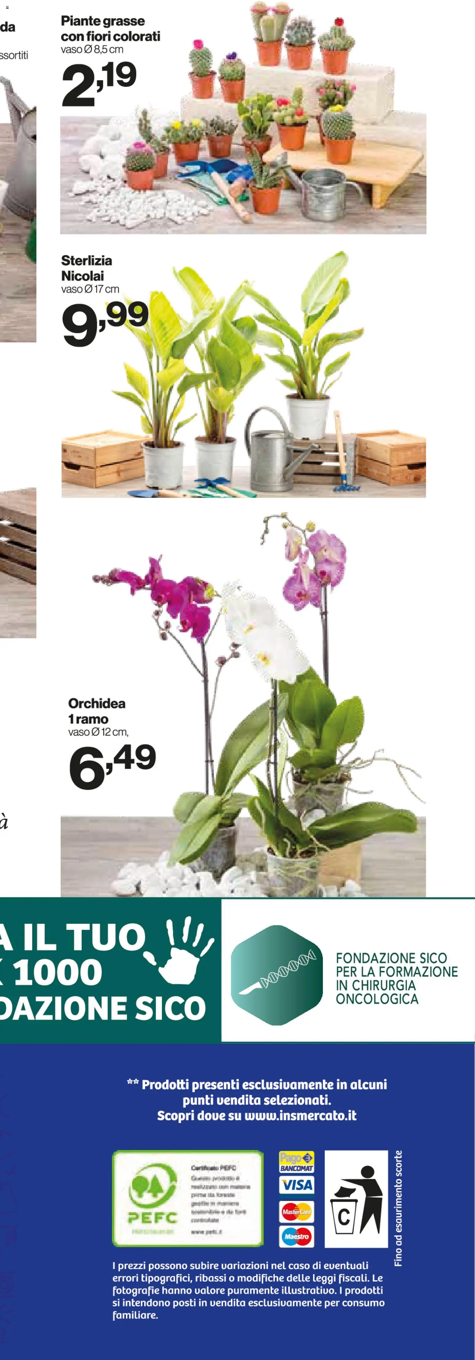 Volantino IN's del 15/07/2026 | Pagina: 25 | Prodotti: Orchidea, Vaso