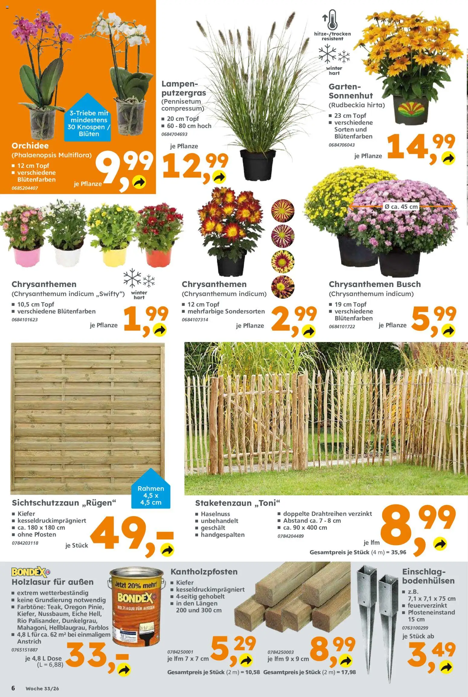 Globus Baumarkt Prospekt Oranienburg-Germendorf – gültig ab 10.08.2026 | Seite: 6 | Produkte: Orchidee