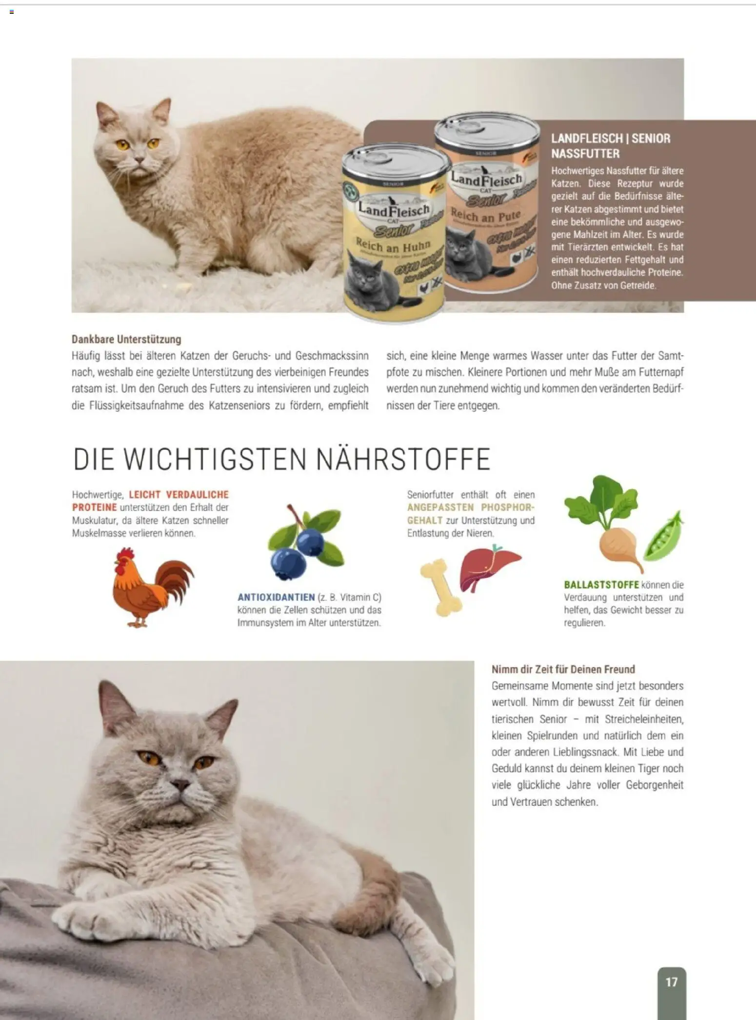 zookauf Themenkatalog Katze – gültig ab 01.10.2026 | Seite: 17 | Produkte: Pute, Gewicht, Wasser, Fleisch
