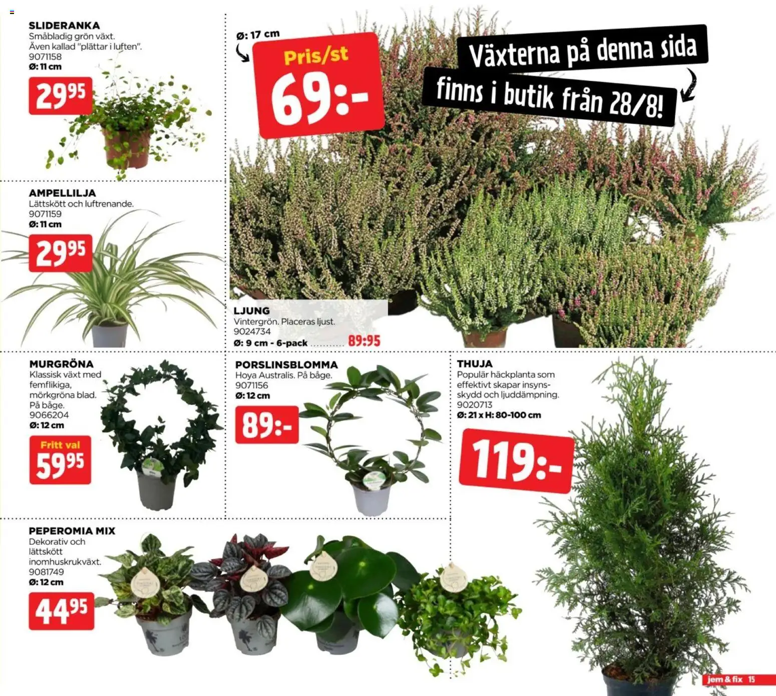 Jem & Fix reklamblad aktuell från 24/08/2026 | Sida: 15 | Produkter: Thuja, Ljung