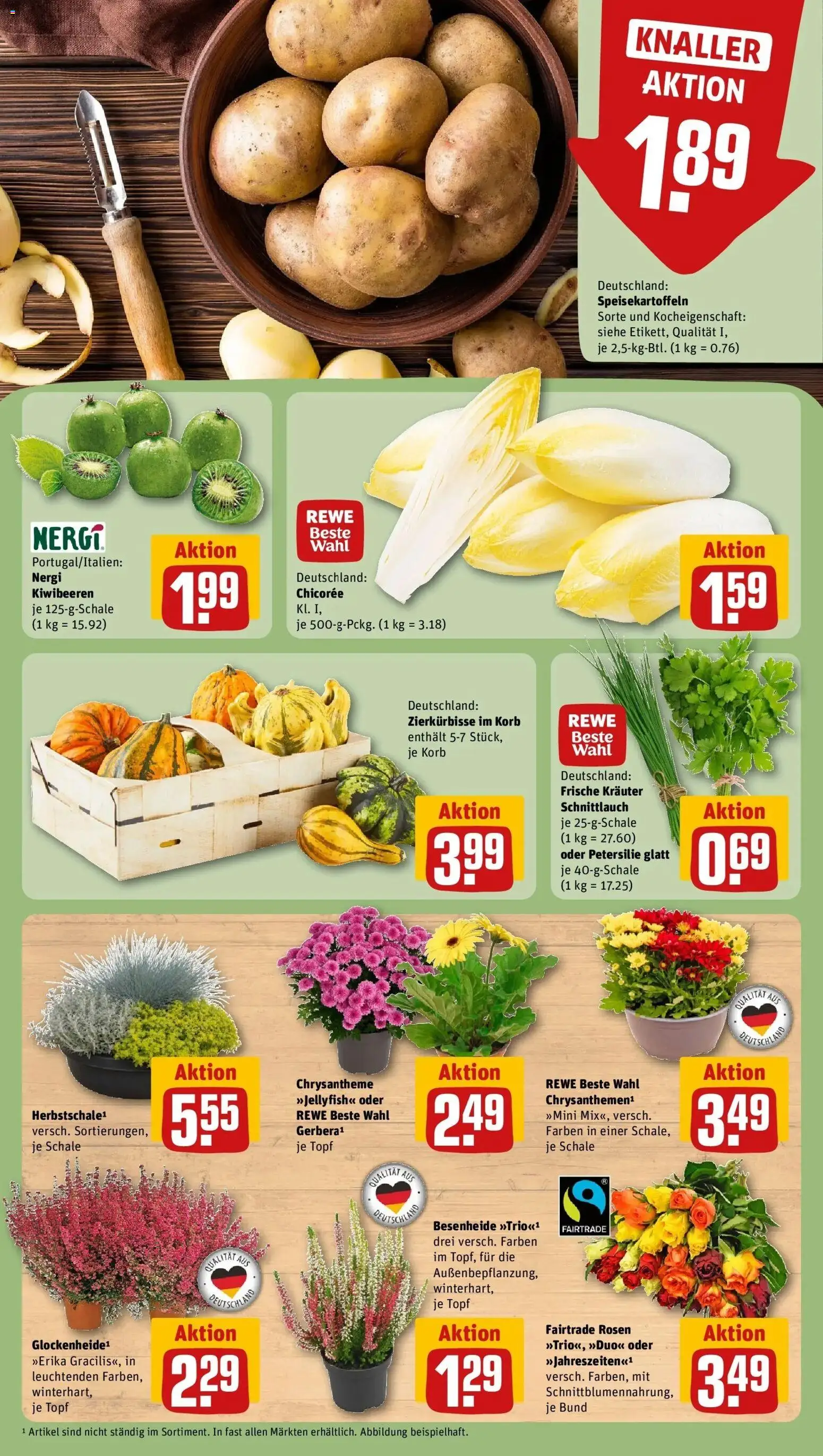 REWE Prospekt ab 21.09.2026 zum Blättern » Angebote | Seite: 13 | Produkte: Korb, Petersilie