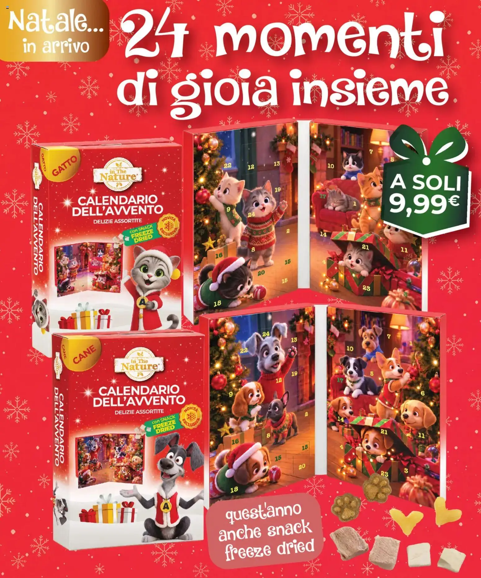 Volantino Arcaplanet del 01/10/2026 | Pagina: 29 | Prodotti: Calendario dell’Avvento, The