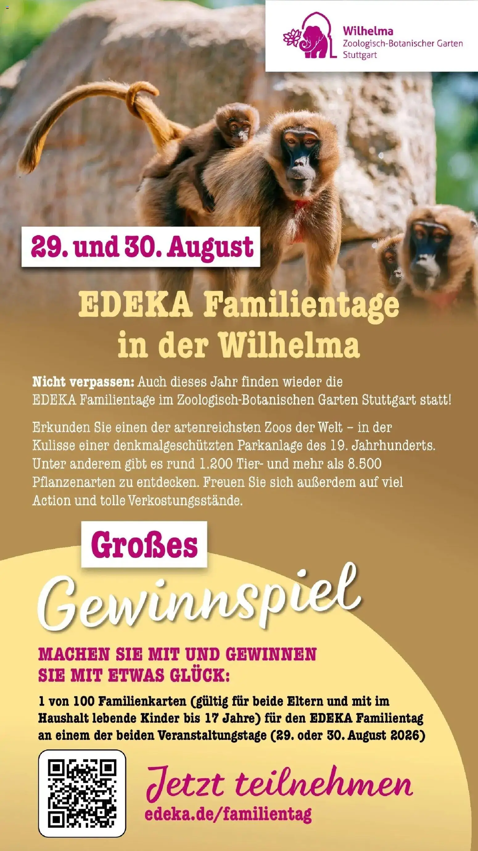 Edeka prospekt Bühlertal – gültig ab 13.07.2026 | Seite: 85