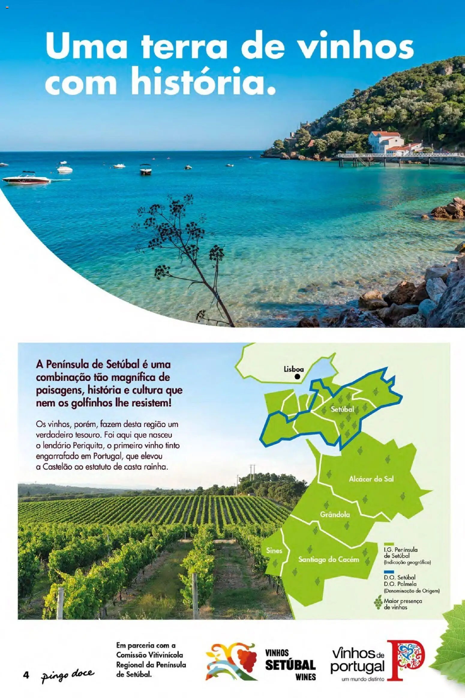 Pingo Doce Vinhos de Setúbal Açores │ válido de 07.05.2026 | Página: 4 | Produtos: Sal, Vinho, Vinho tinto