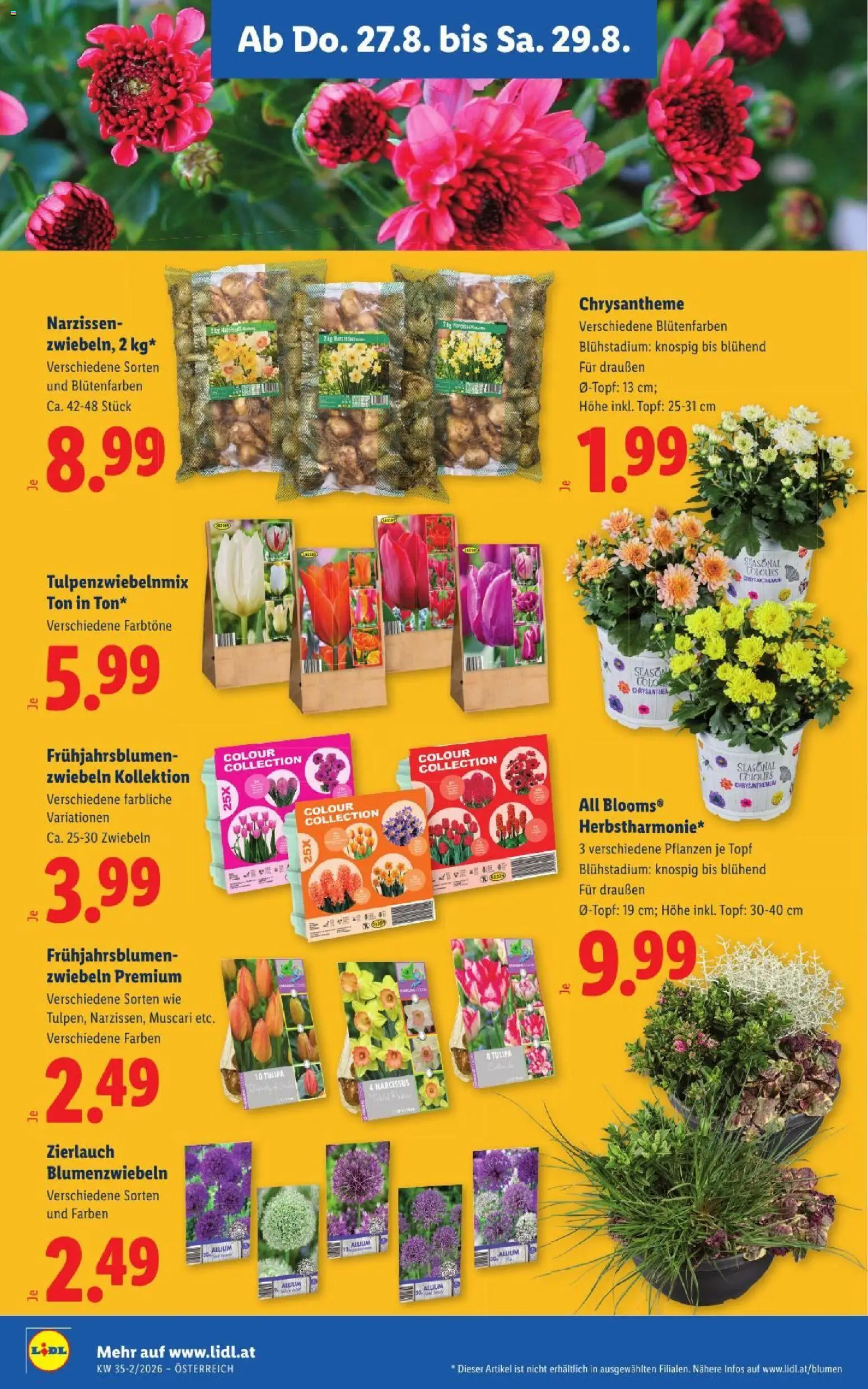 Lidl - Flugblatt gültig ab 27.08.2026 | Seite: 26 | Produkte: Zwiebeln