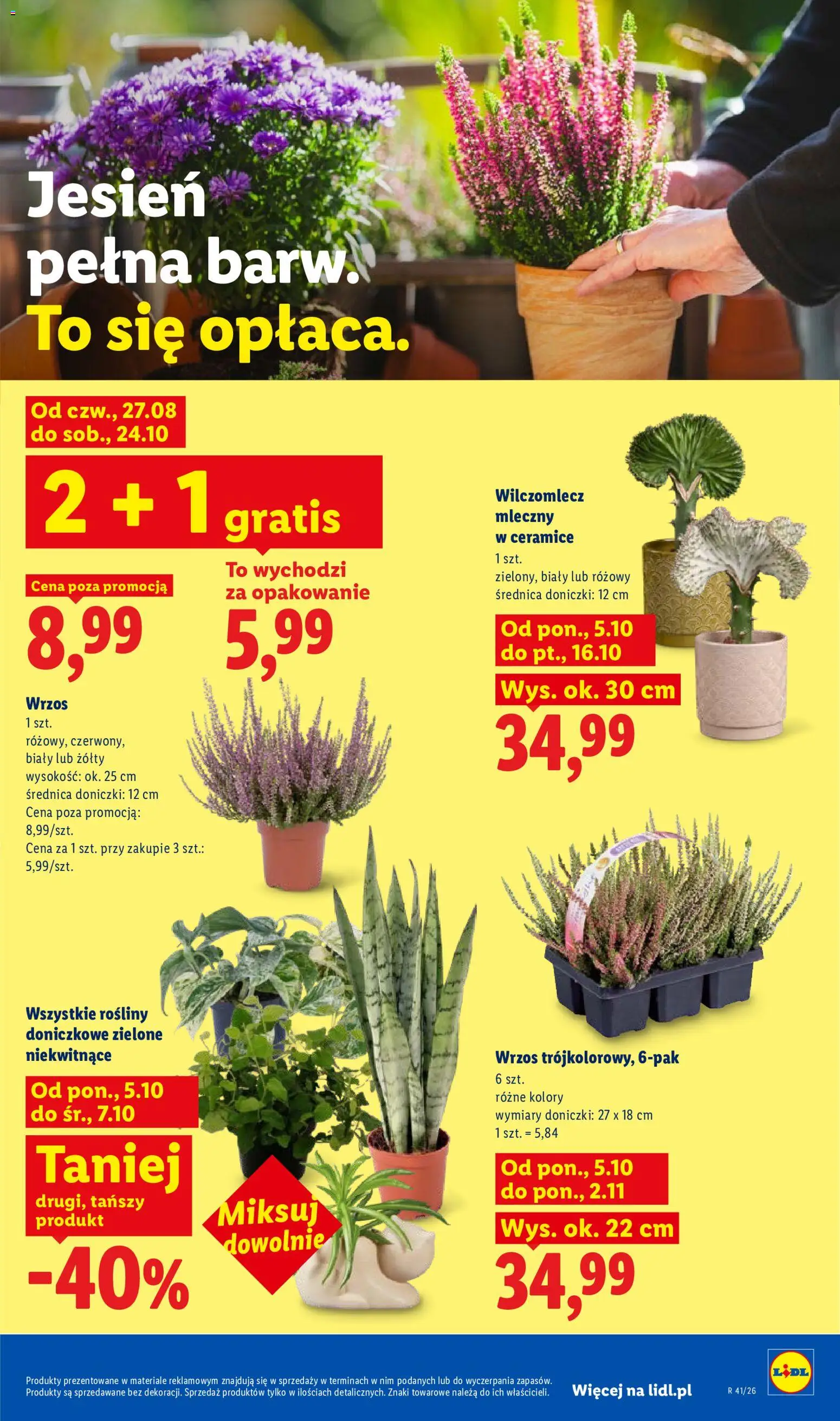 Lidl Polsko leták od 05.10.2026 | Strana: 89