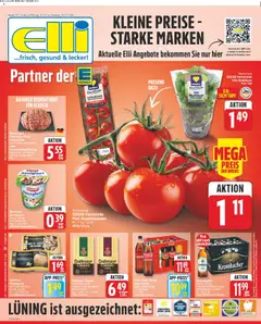 Elli Markt Prospekt Hövelhof ab 20.07.2026 gültig