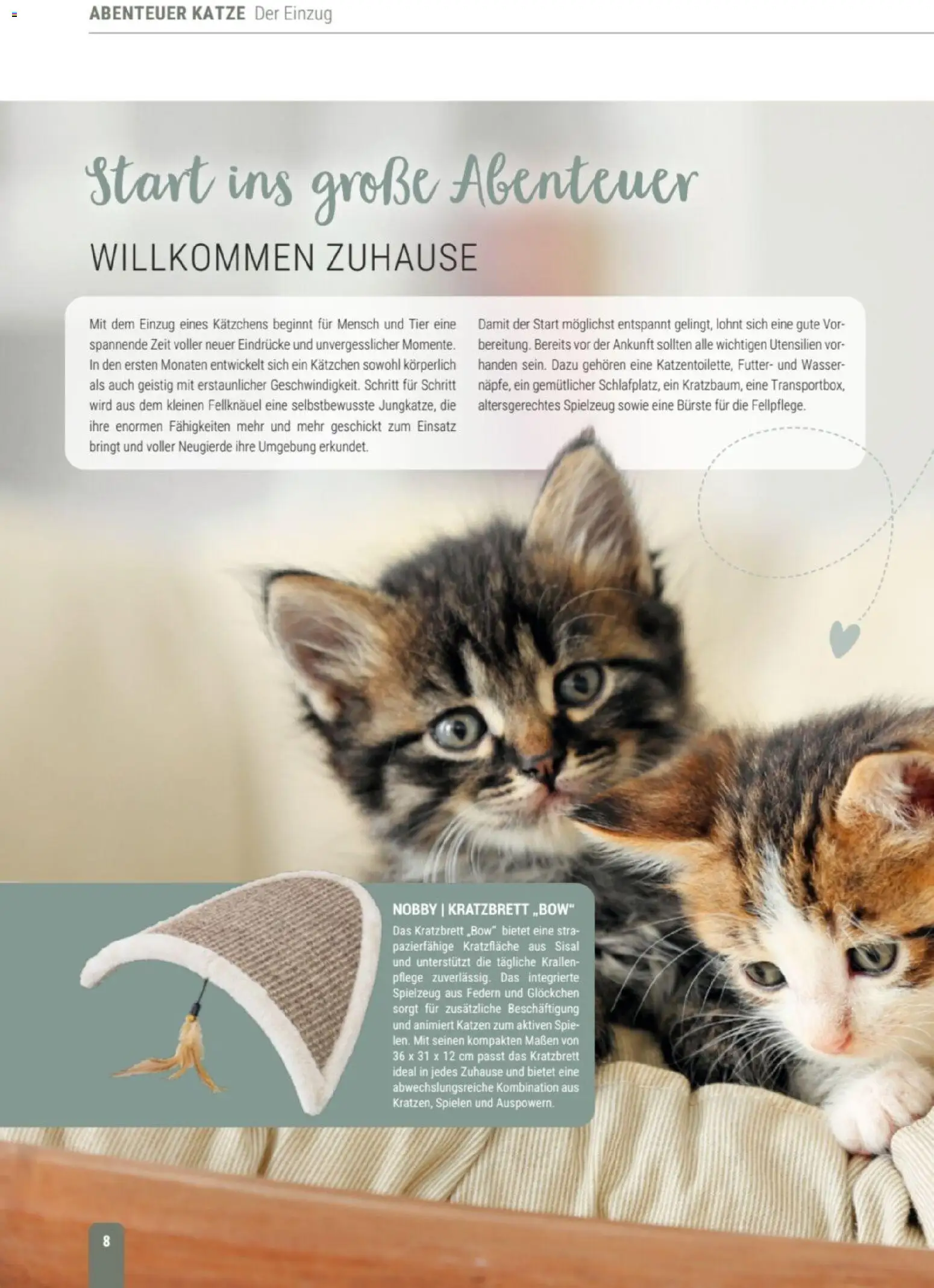 zookauf Themenkatalog Katze – gültig ab 01.10.2026 | Seite: 8 | Produkte: Bürste, Wasser