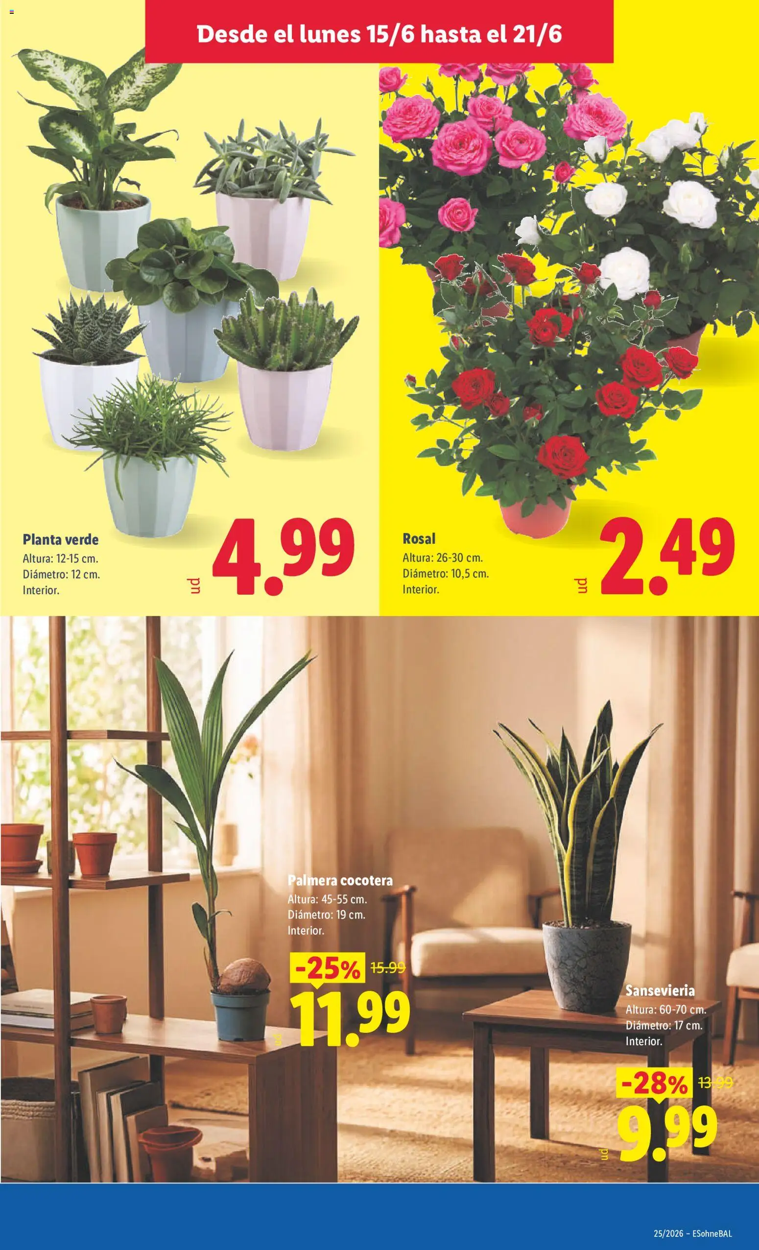 Lidl folleto Baleares │ válido desde el 15.06.2026 | Página: 65