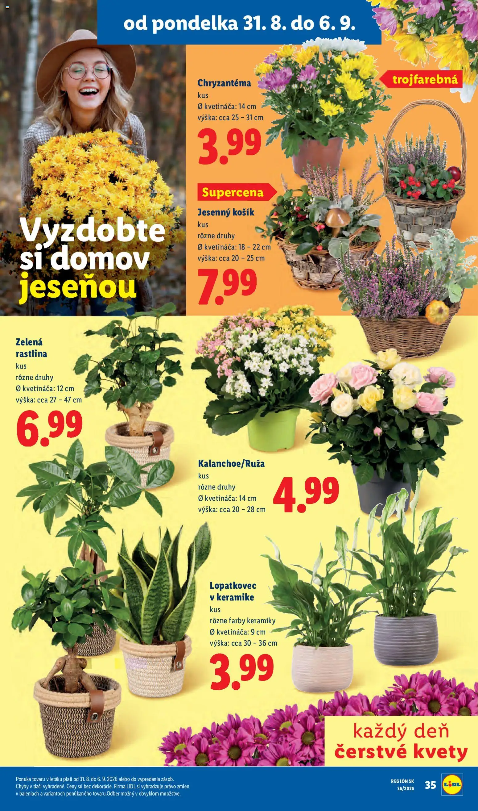 Nové Lidl akcie – leták je platný od 31.08.2026 | Strana: 49