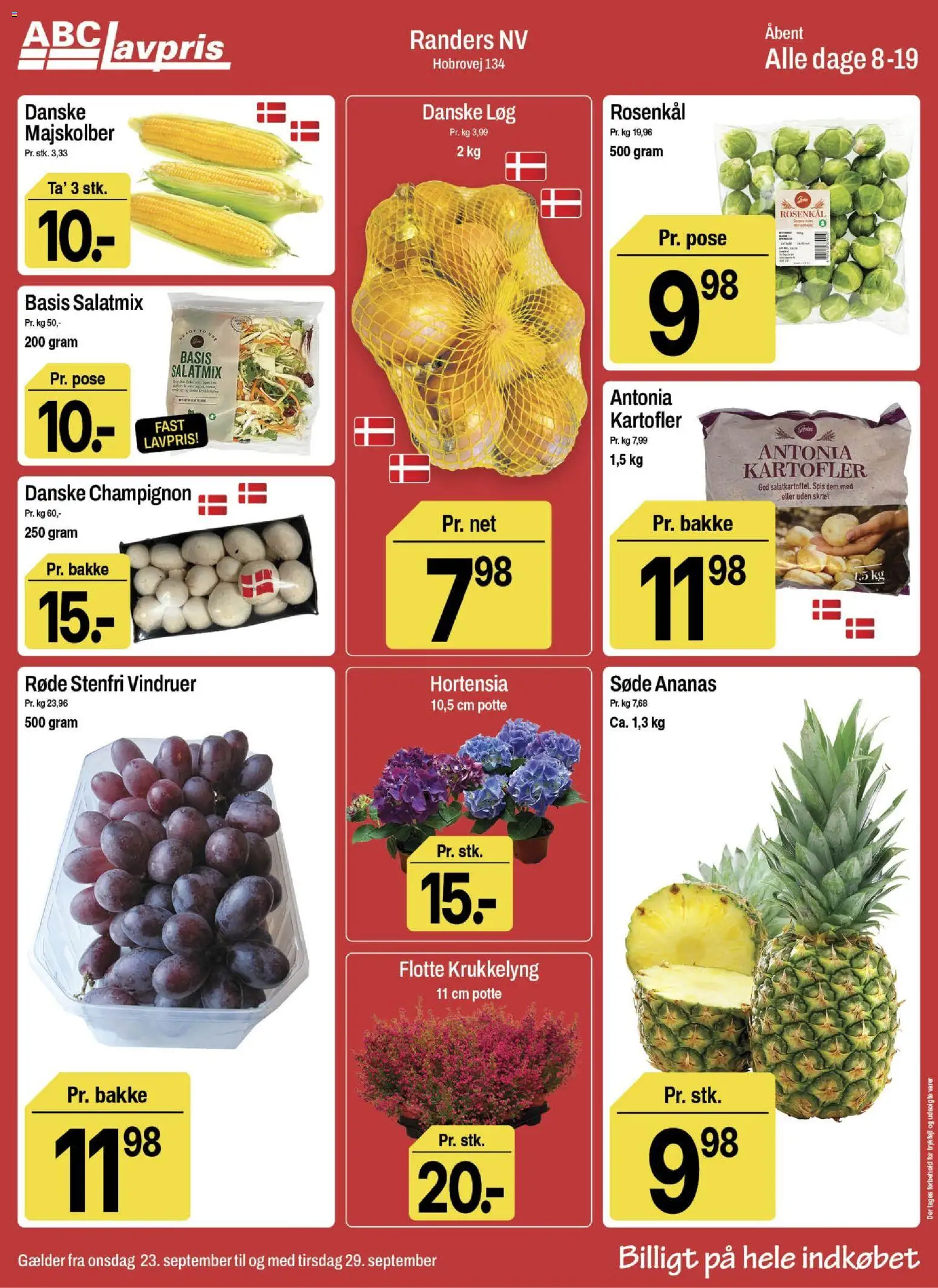 Abc Lavpris tilbudsavis – gyldig fra 23/09/2026 | Side: 2