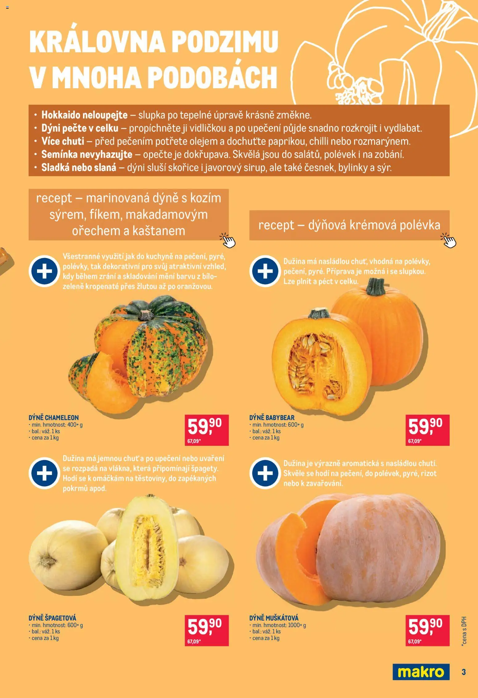 Makro leták - Pro milovníky jídla od 21.10.2026 | Strana: 3 | Produkty: Bylinky, Dýně, Semínka, Kuchyně