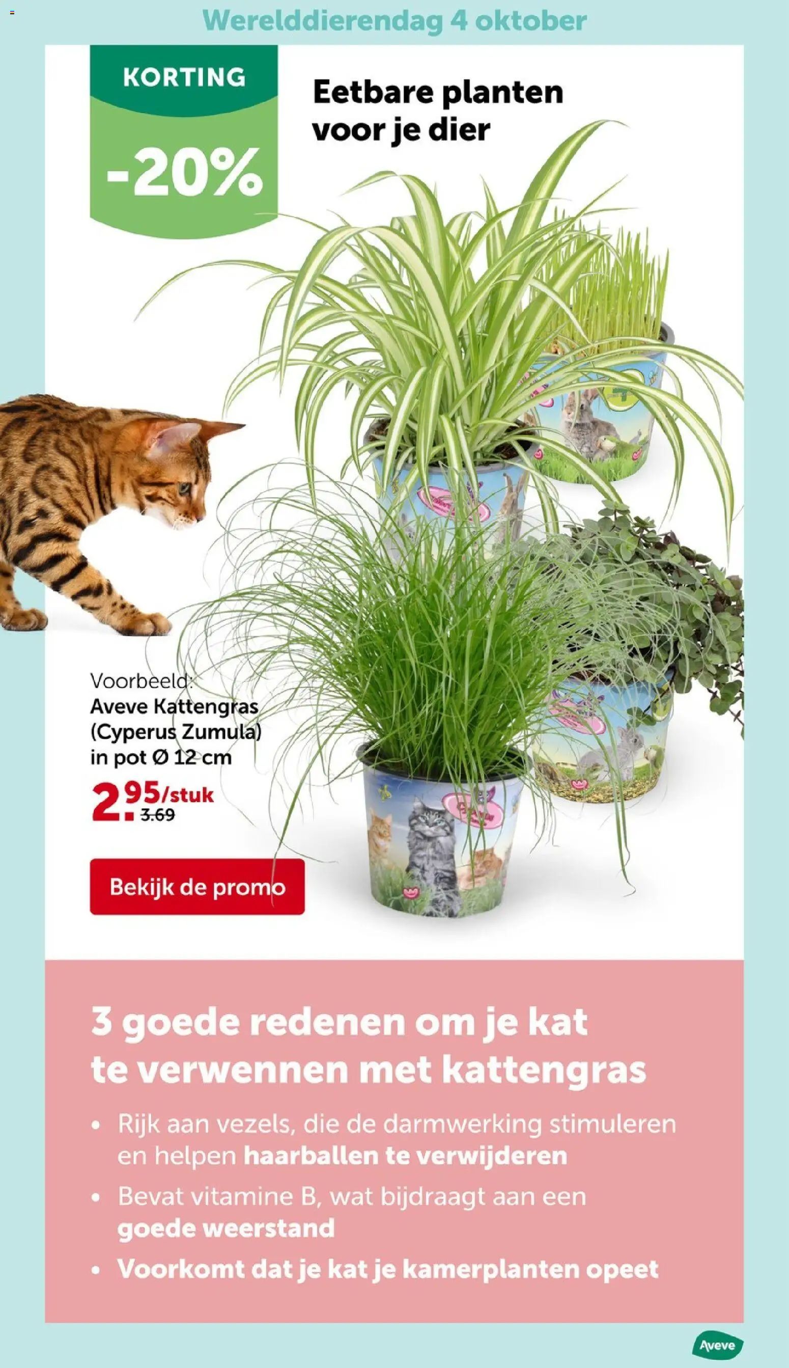 {H1} | Pagina: 4 | Producten: Kamerplanten, Pot