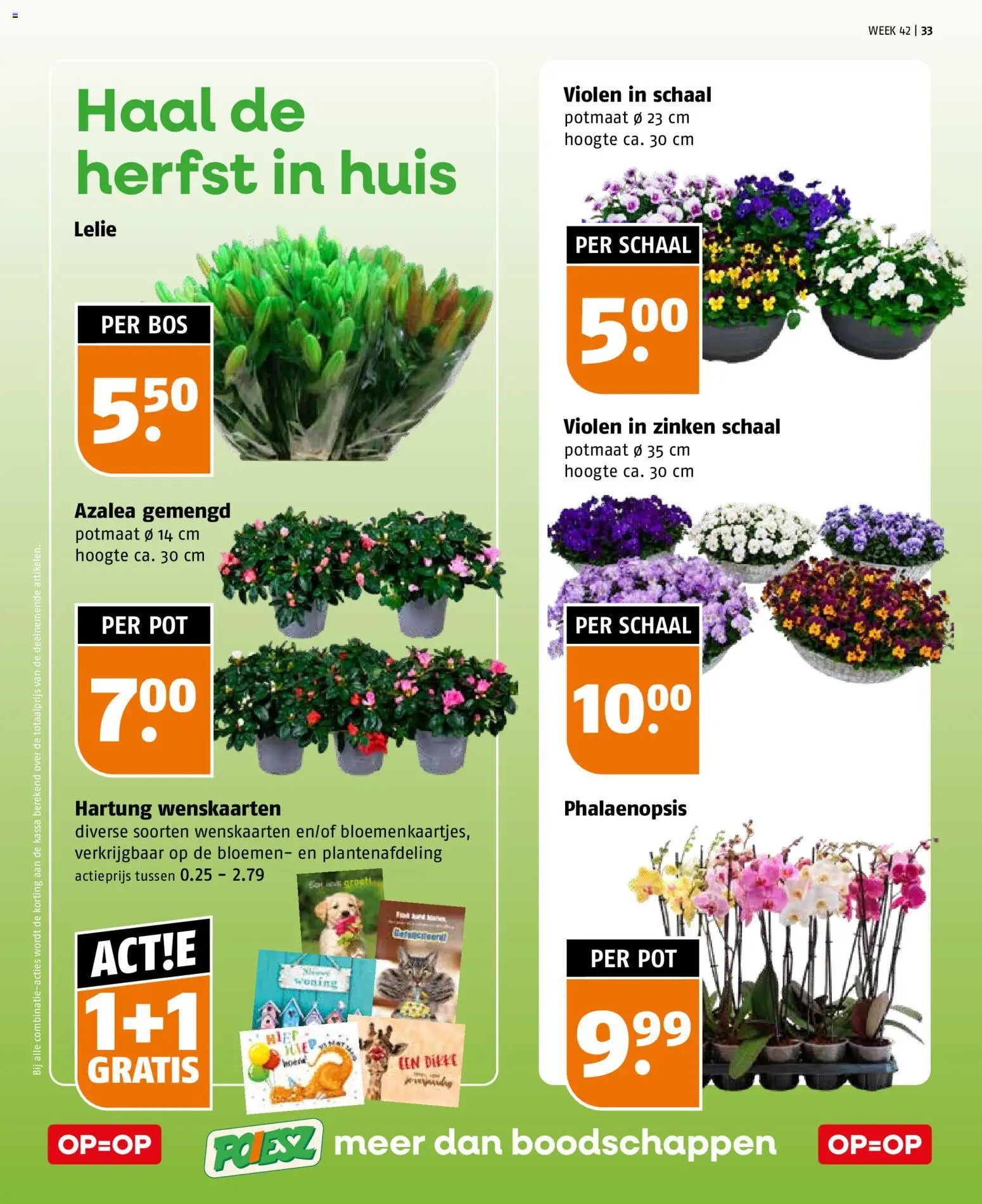 {H1} | Pagina: 33 | Producten: Pot, Schaal, Bloemen