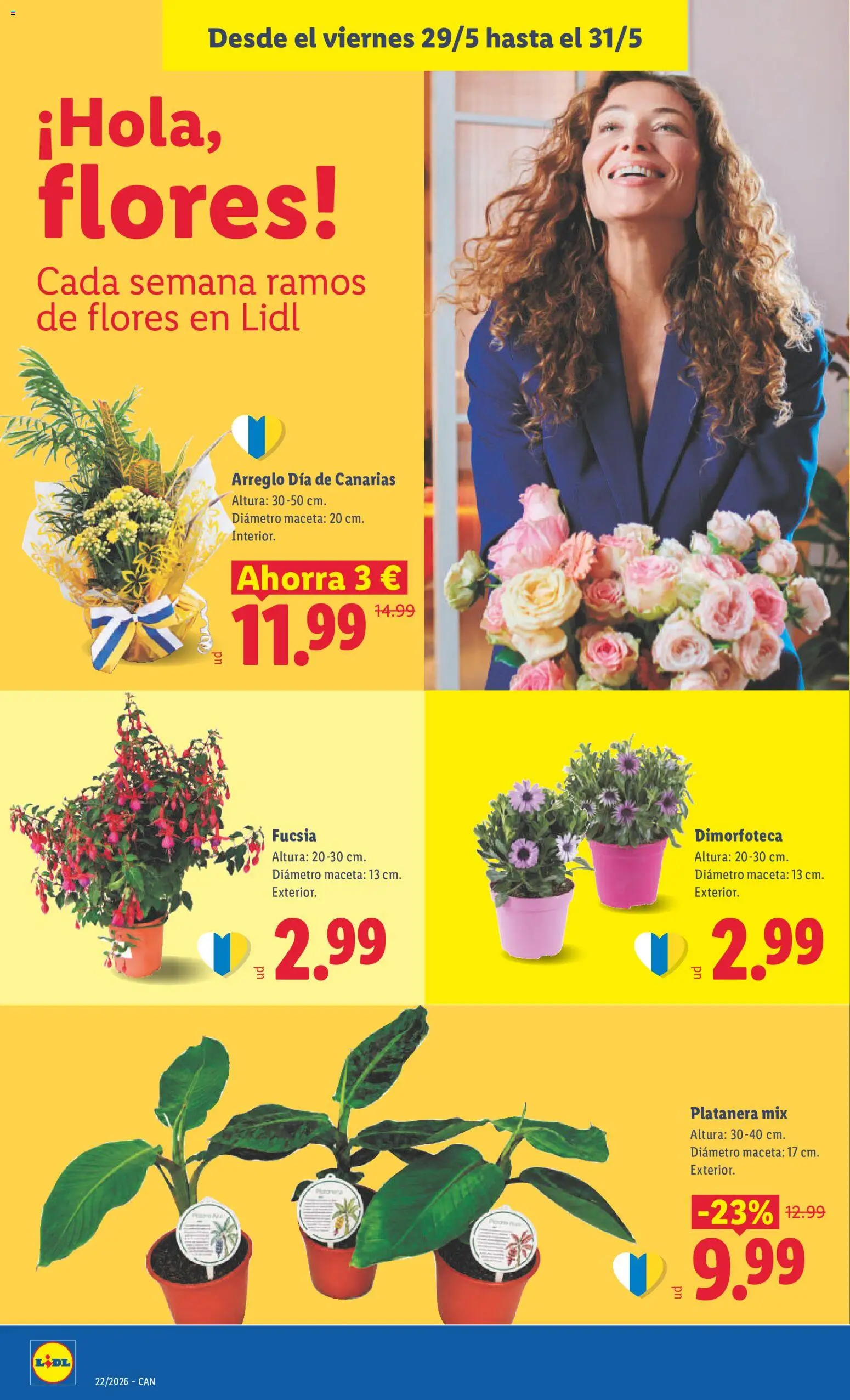 Lidl folleto │ válido desde el 18.05.2026 | Página: 40 | Productos: Maceta