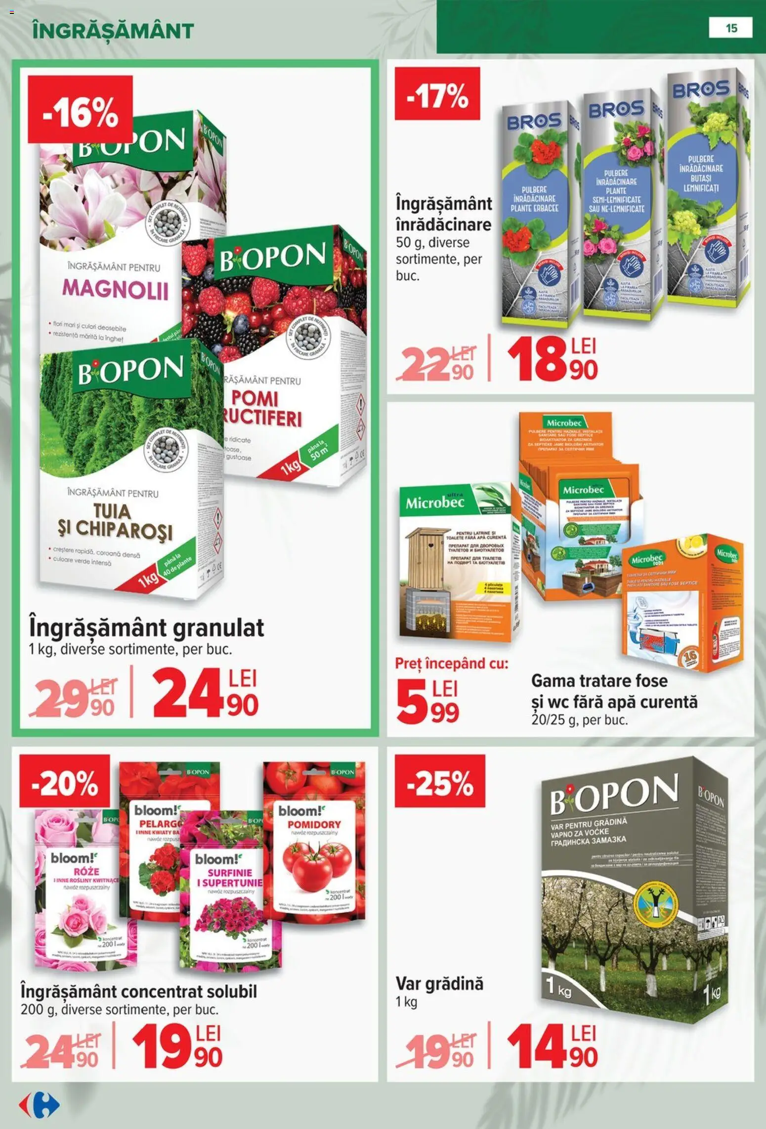 Noul catalog Carrefour – valabil de la 11.02.2026 | Pagină: 15 | Produse: Gradina, Apă, Flori