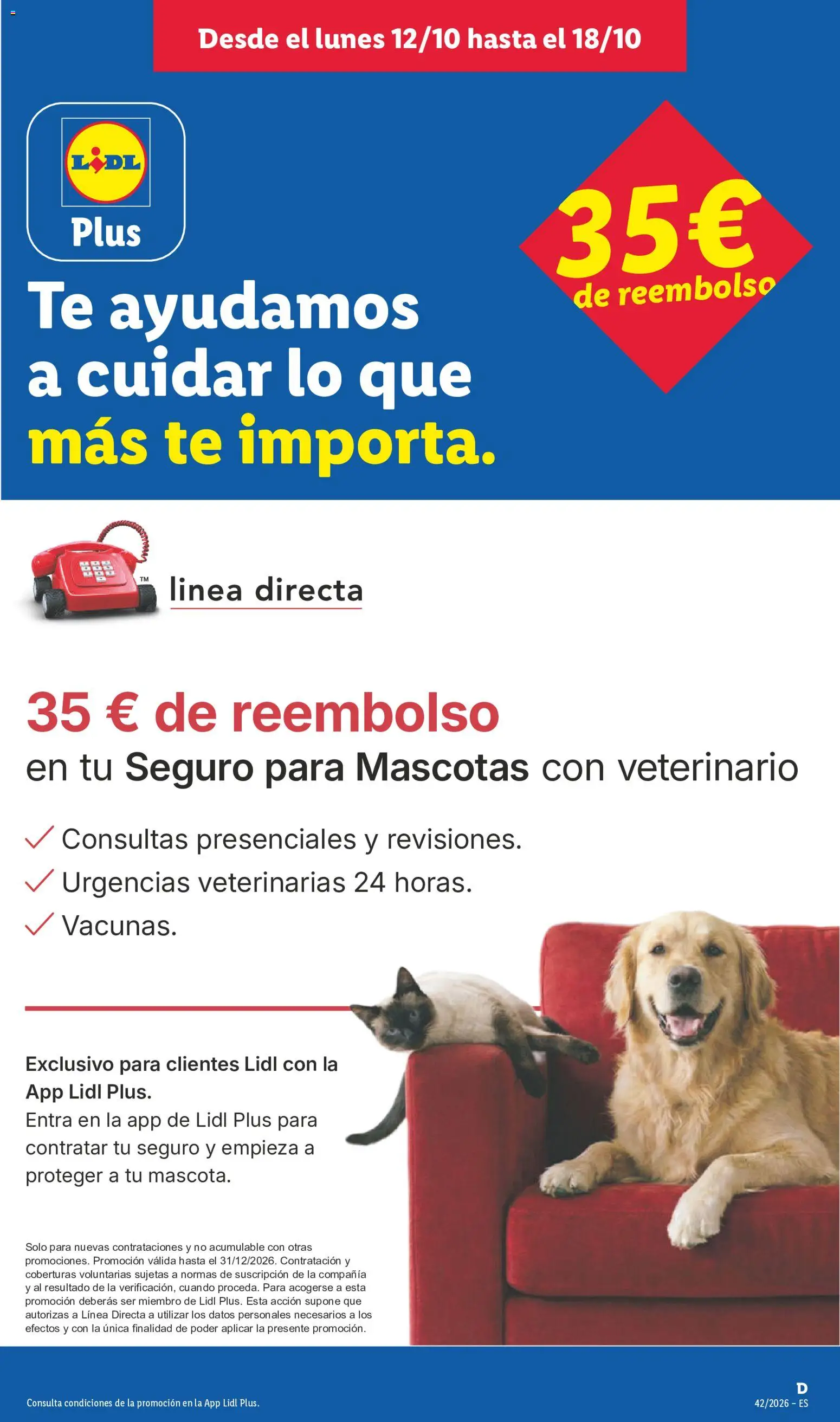 Lidl folleto de bazar │ válido desde el 12/10/2026 | Página: 15 | Productos: Té