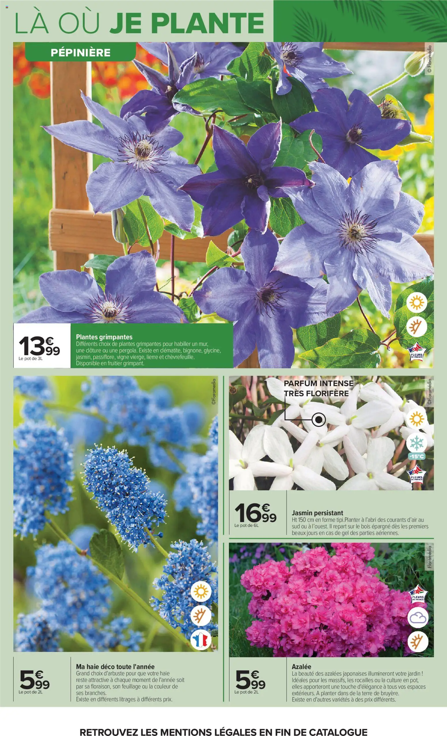 {H1} | Page: 6 | Produits: Plantes, Parfum, Clôture