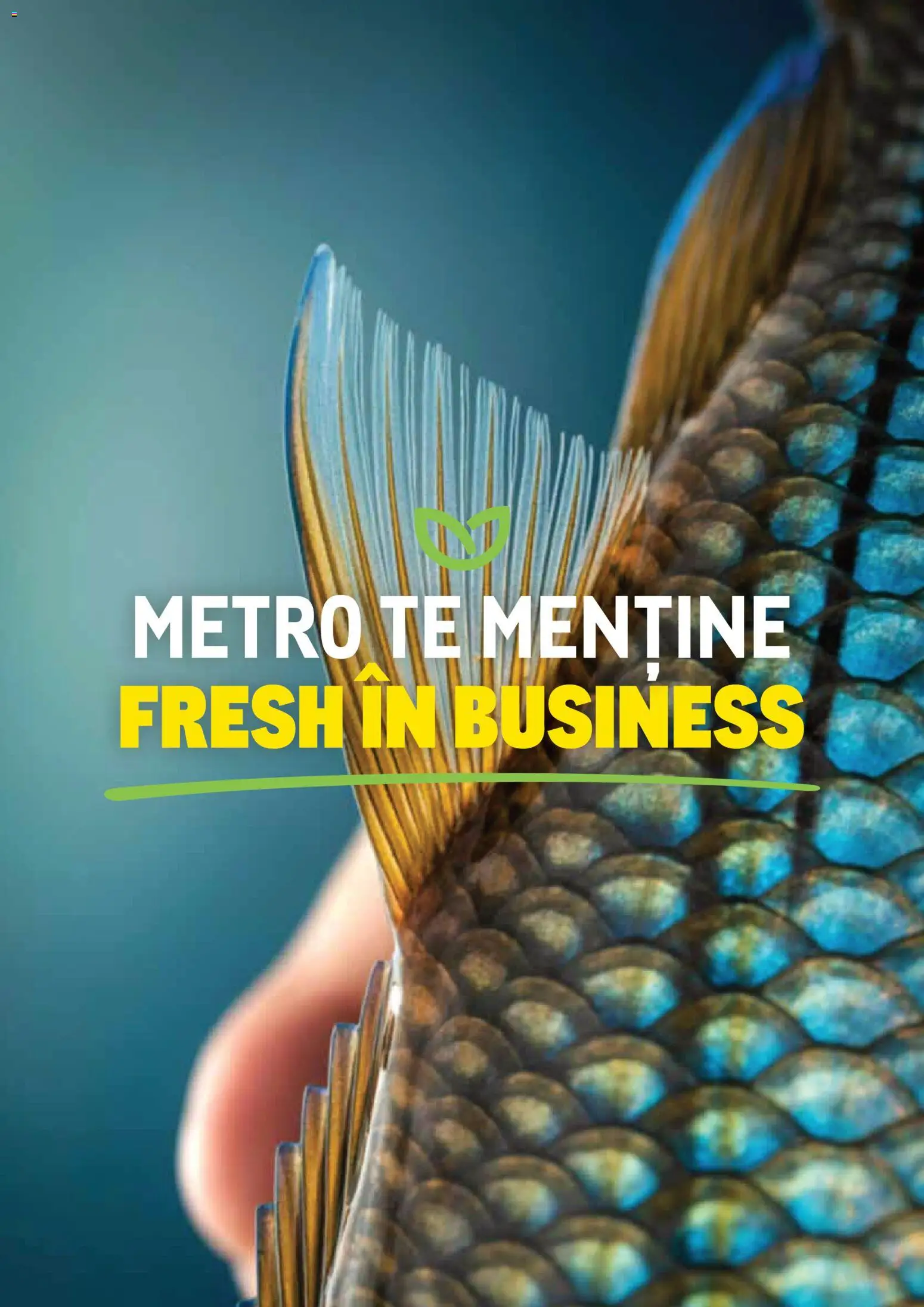 Noul catalog Metro – valabil de la 01.10.2026 | Pagină: 82